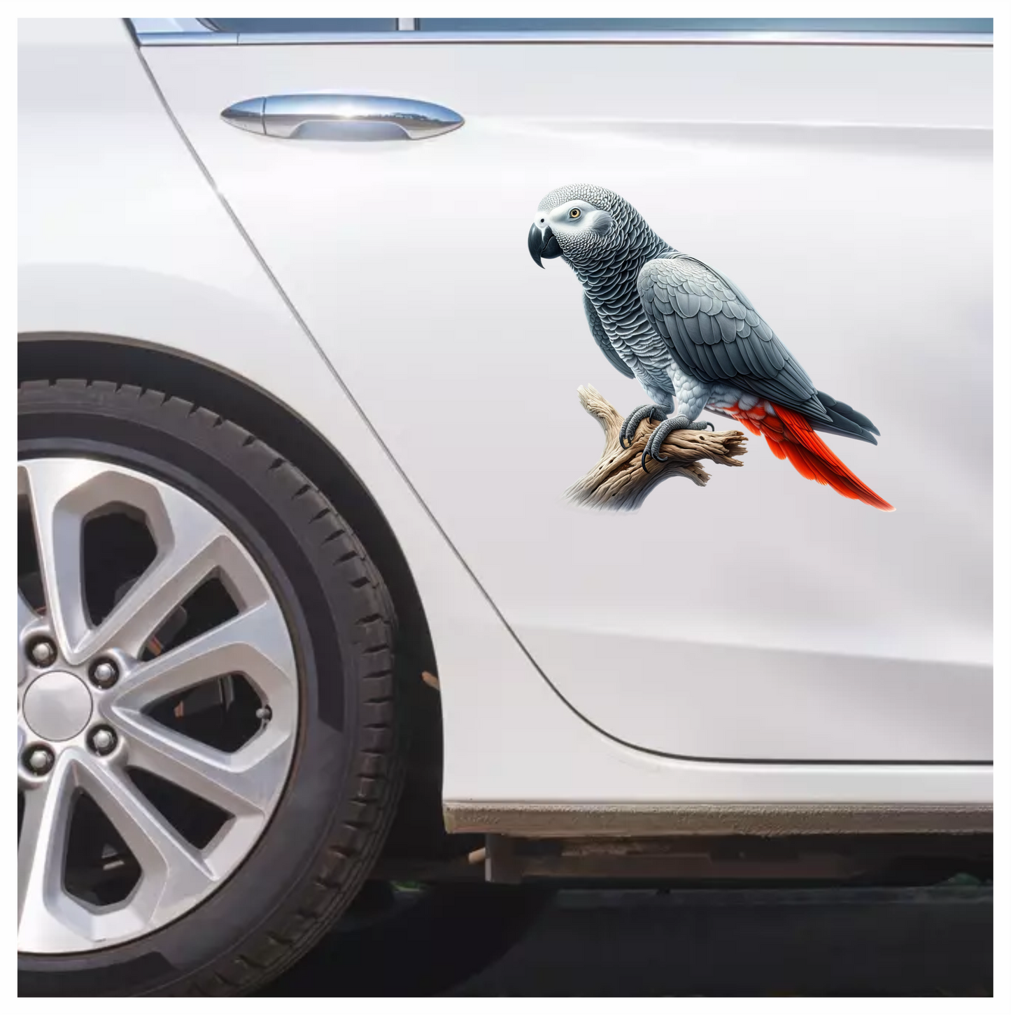 Grey Parrot Bird With Red Feathers Vinyl Sticker Decal