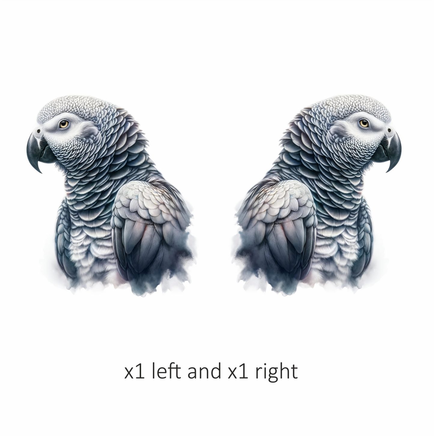 Grey Parrot Bird Close Up View Vinyl Sticker Decal