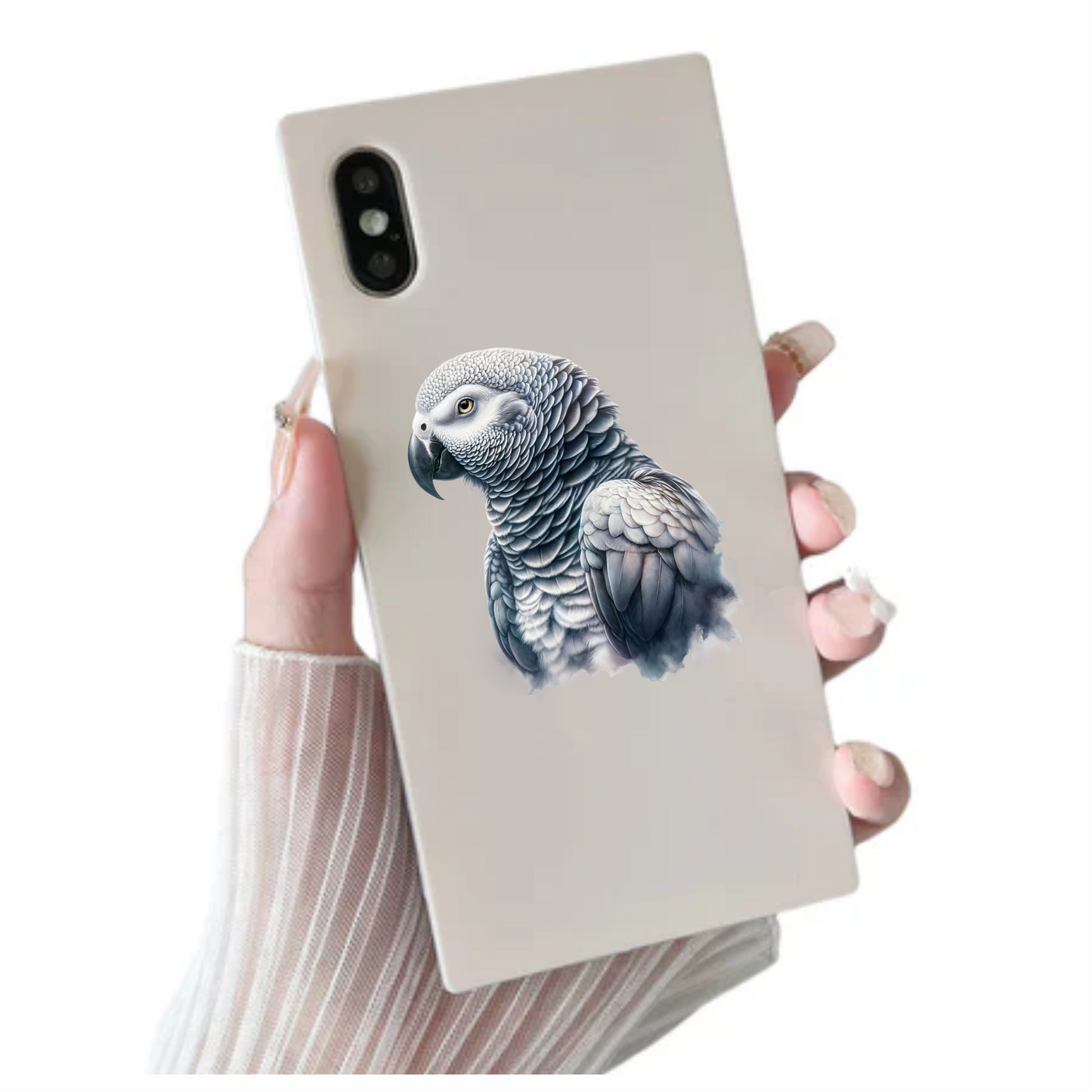 Grey Parrot Bird Close Up View Vinyl Sticker Decal