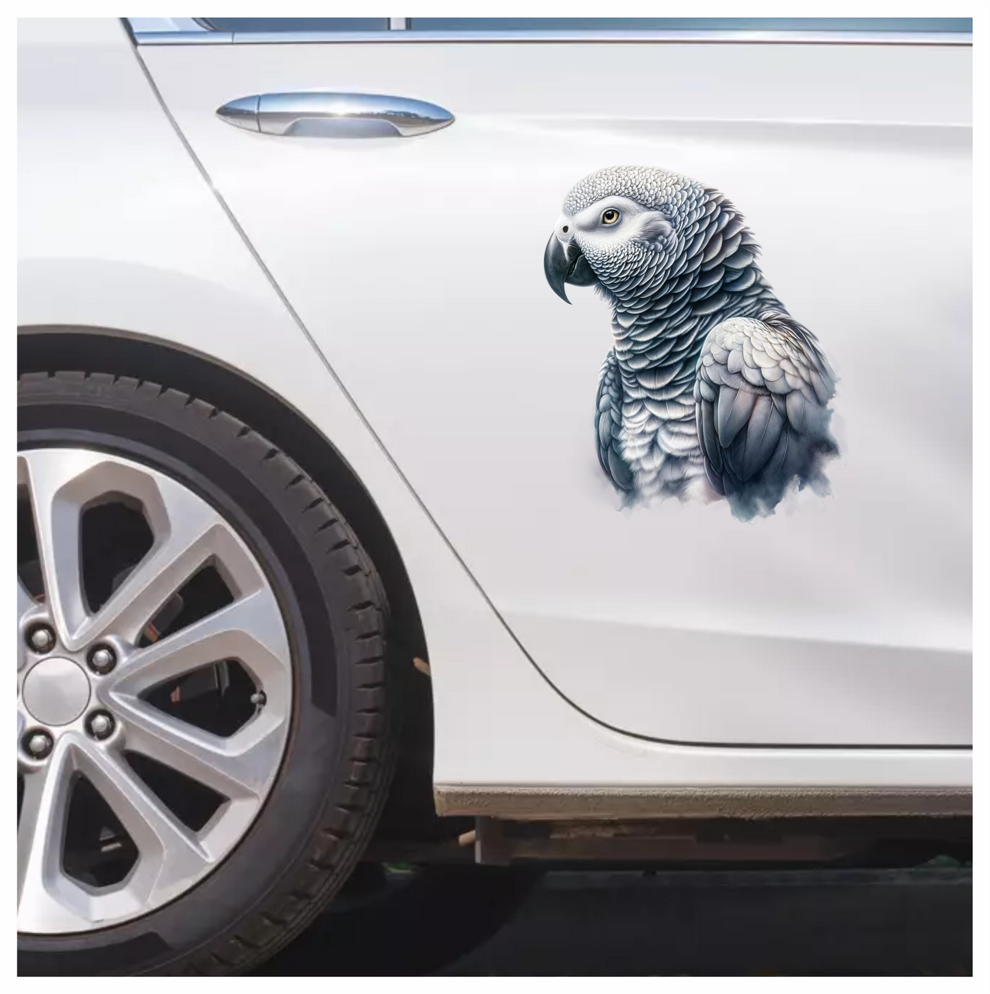 Grey Parrot Bird Close Up View Vinyl Sticker Decal