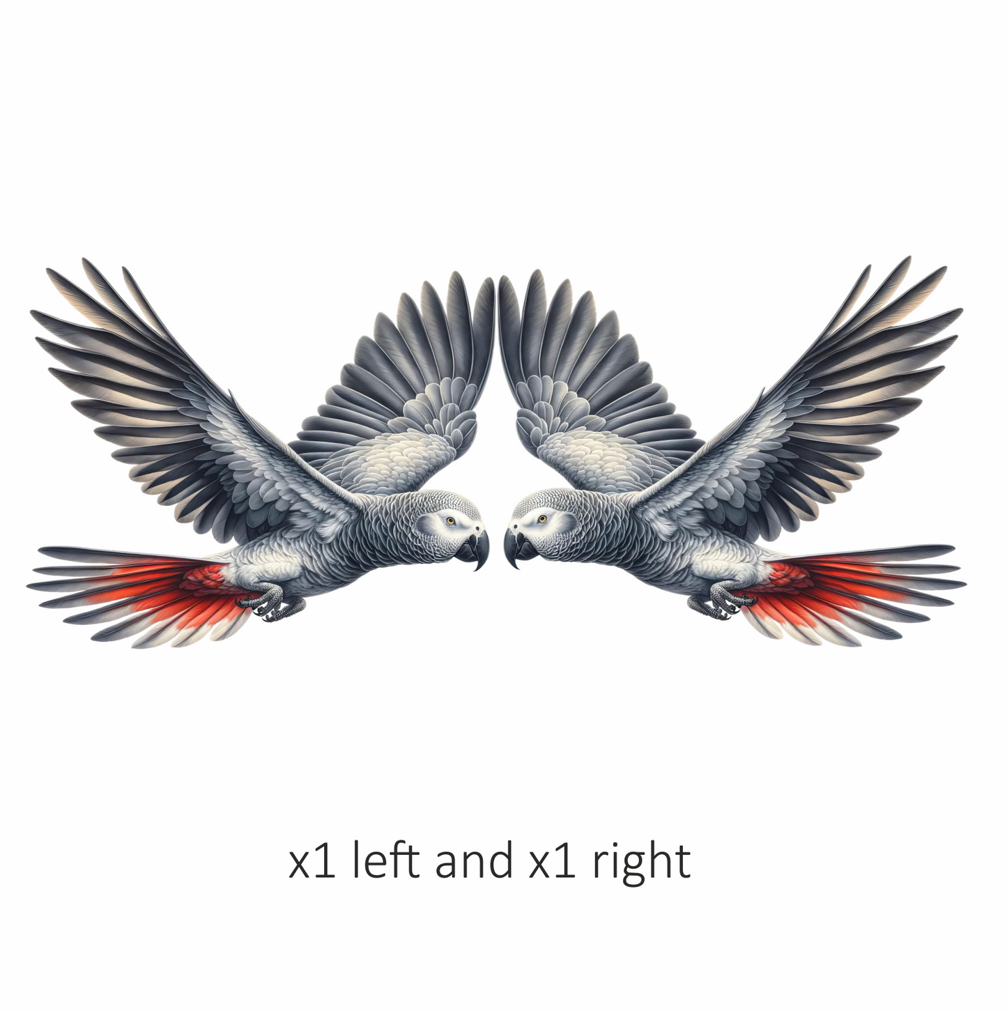 Grey Parrot Bird Flying With Wings Vinyl Sticker Decal