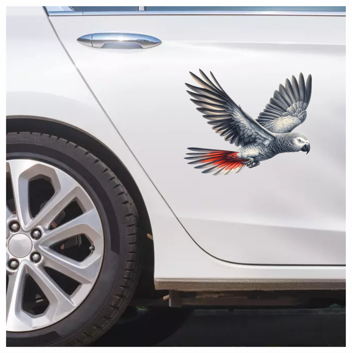 Grey Parrot Bird Flying With Wings Vinyl Sticker Decal
