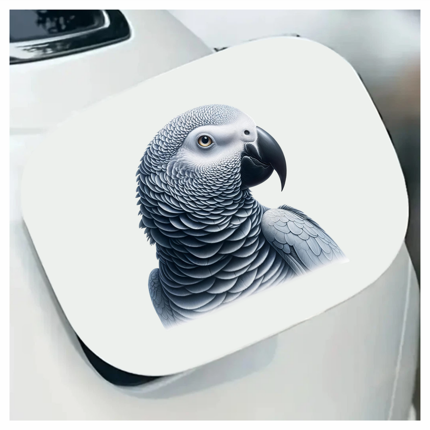 Grey Parrot Bird Head Close Up Vinyl Sticker Decal