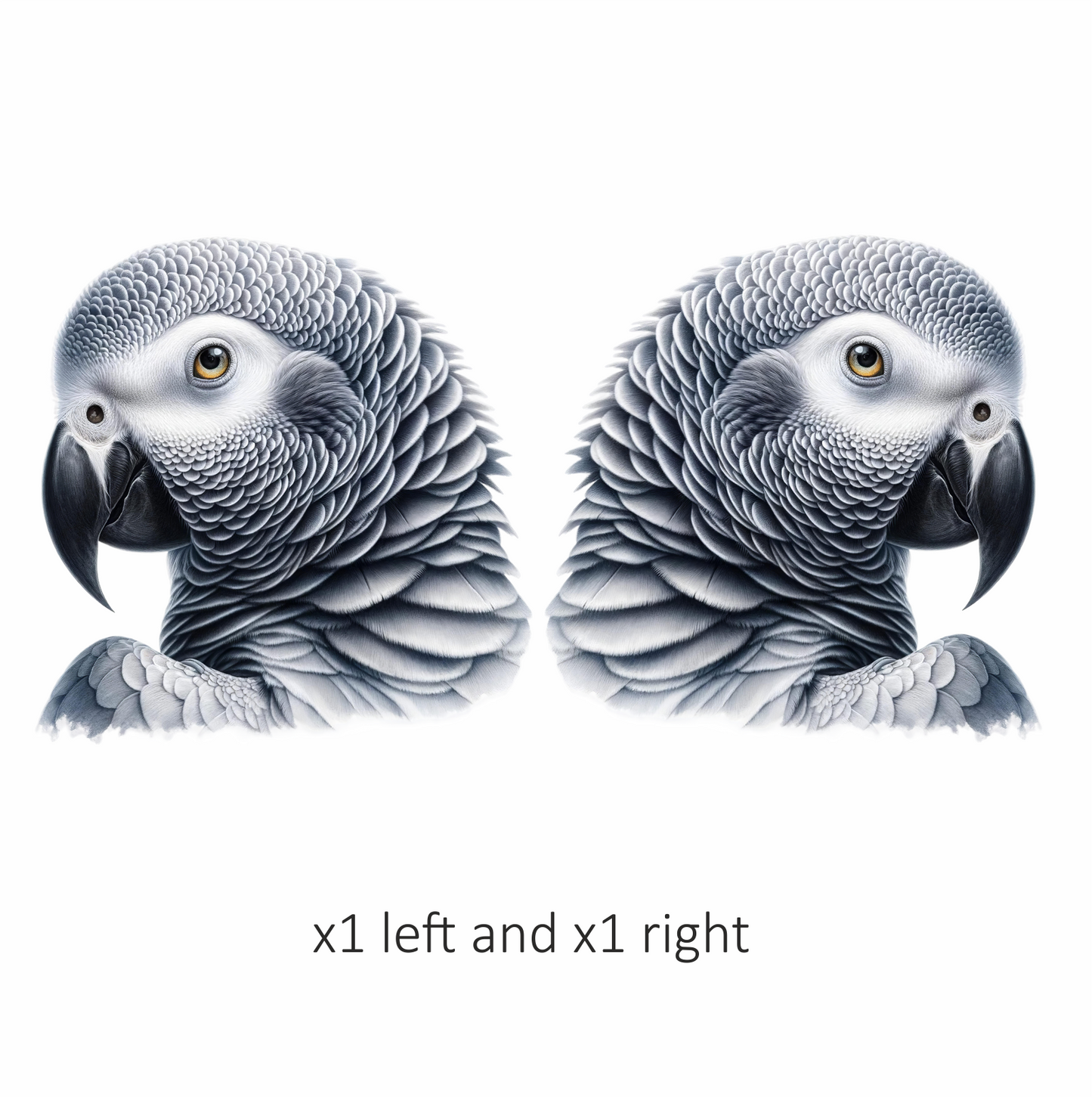 Grey Parrot African Bird Close Vinyl Sticker Decal