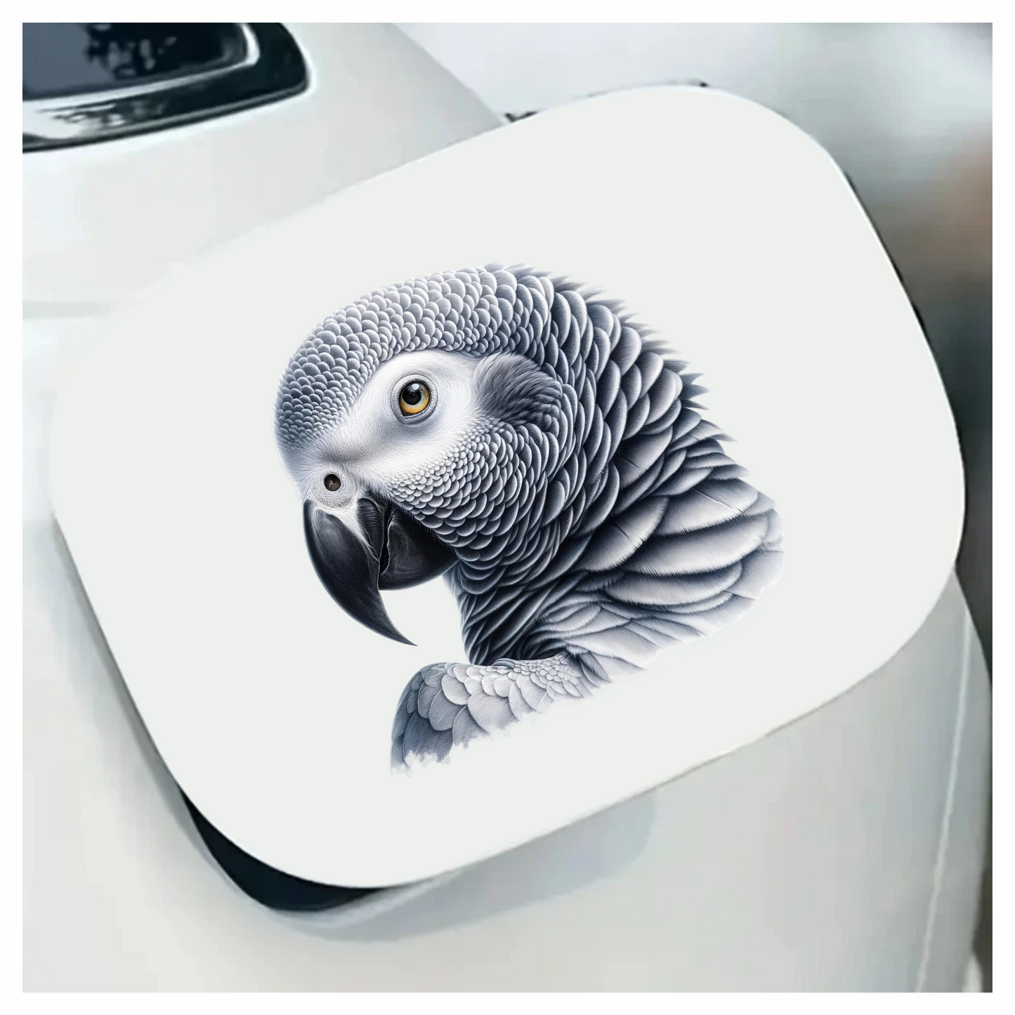 Grey Parrot African Bird Close Vinyl Sticker Decal