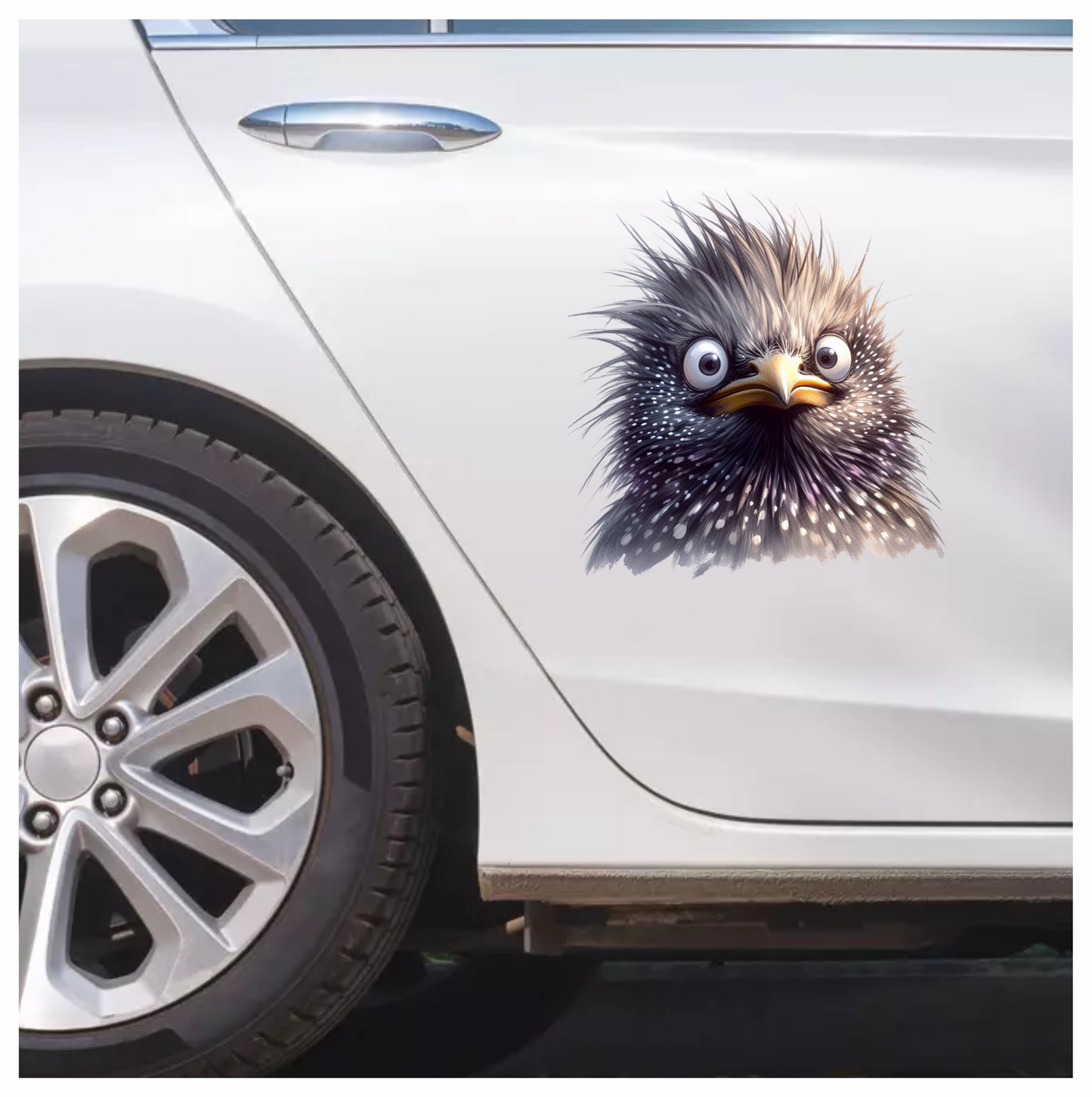 Black Starling Bird With White Spots Vinyl Sticker Decal