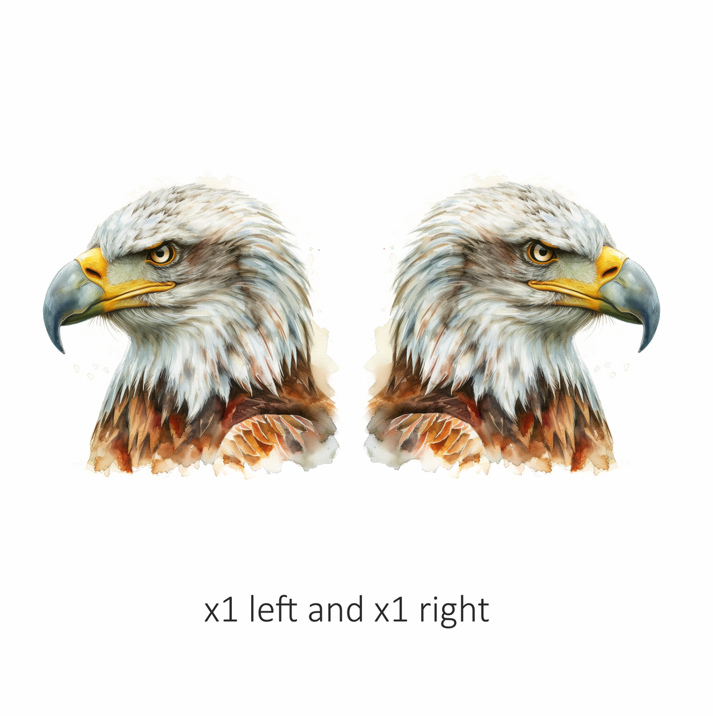 White Eagle Bald Head Portrait Vinyl Sticker Decal