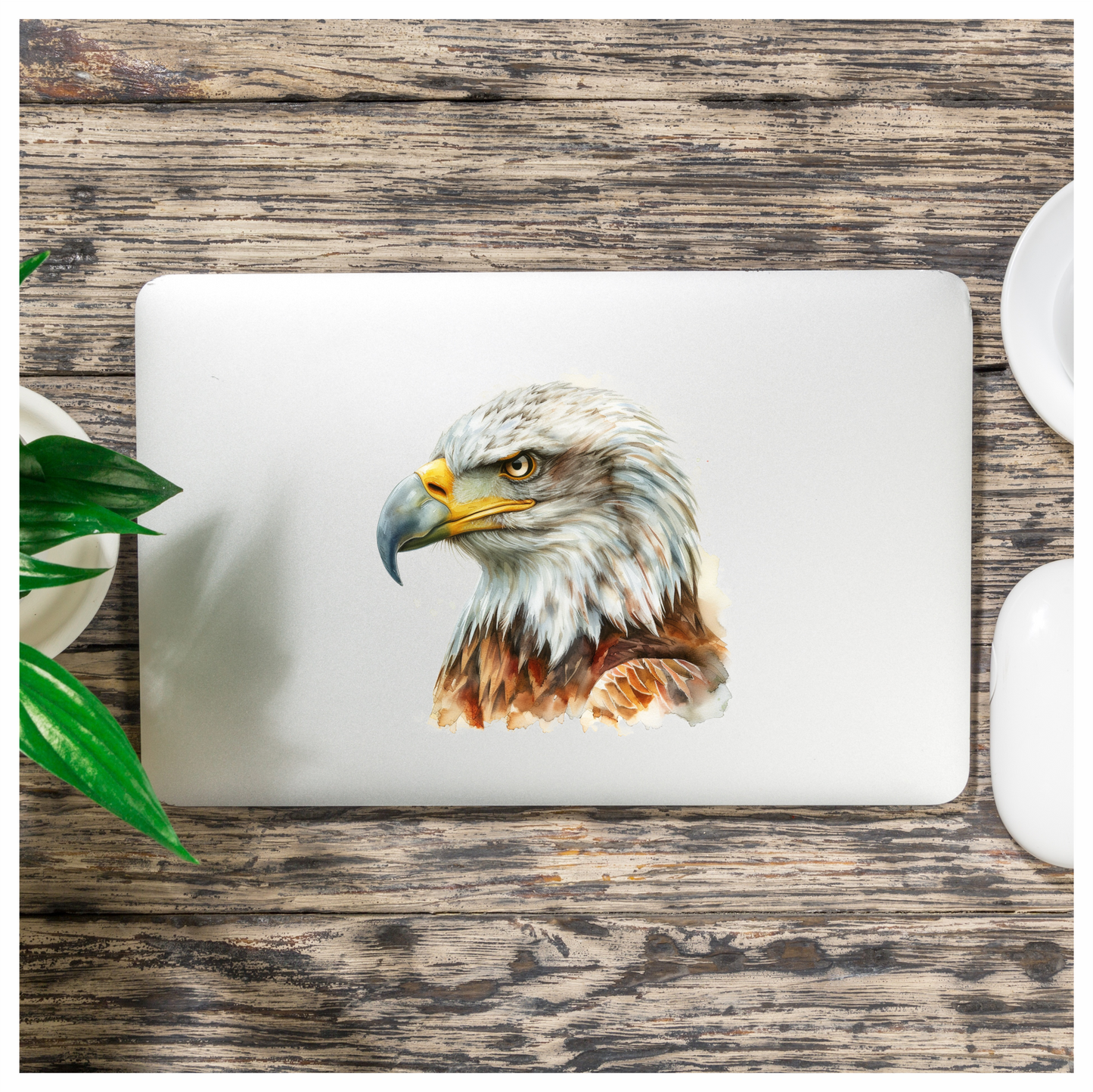 White Eagle Bald Head Portrait Vinyl Sticker Decal