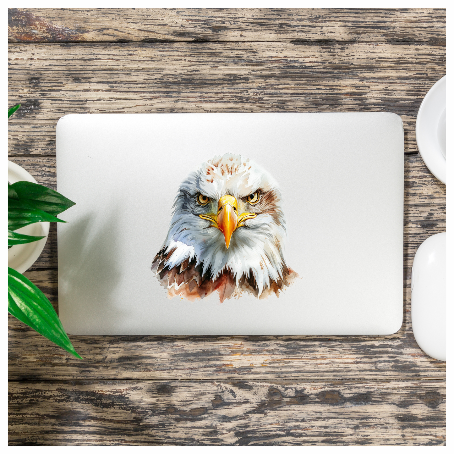 White Eagle Bald Face Close Vinyl Sticker Decal