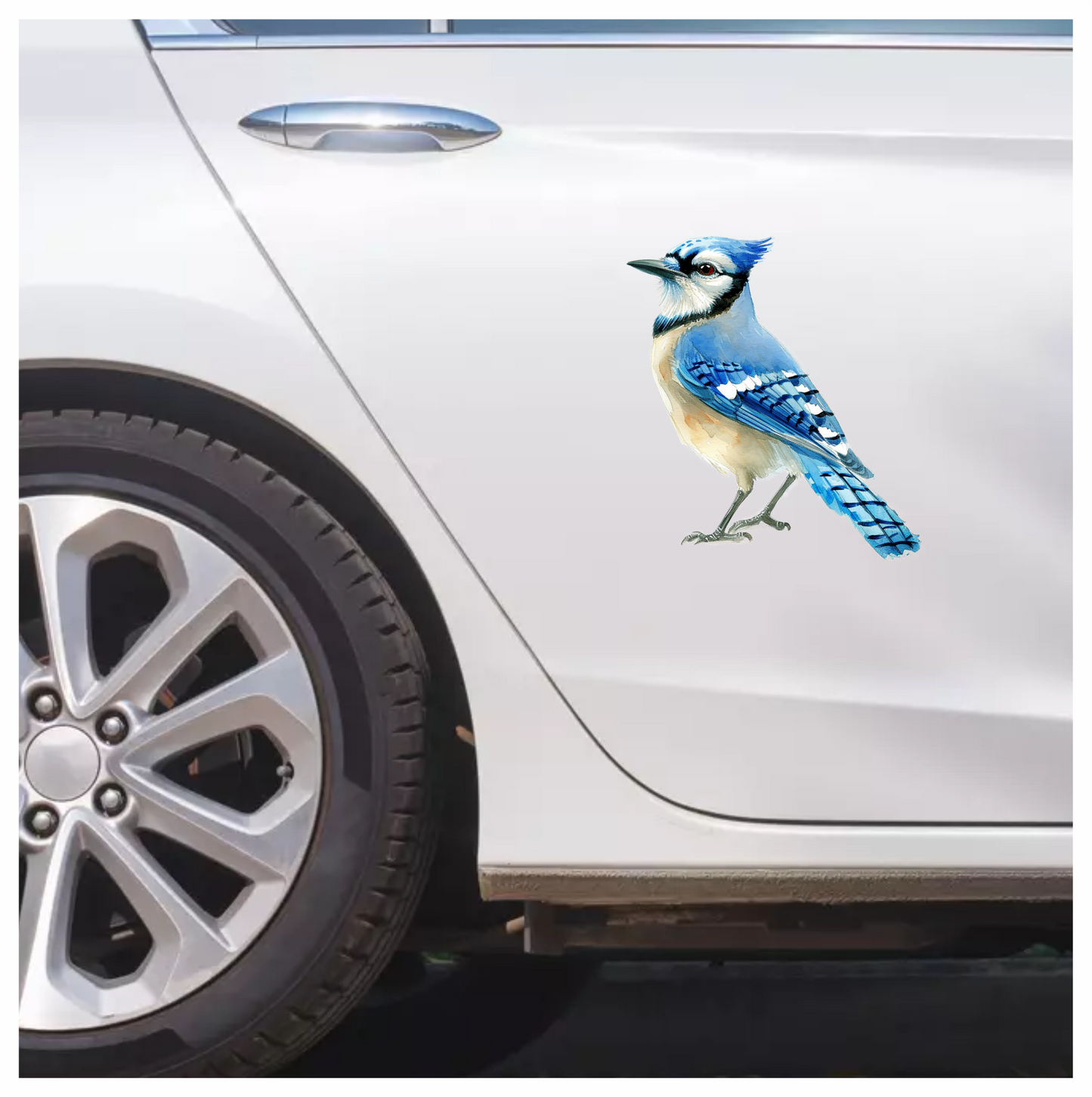 Blue Jay Bird Standing Side Vinyl Sticker Decal