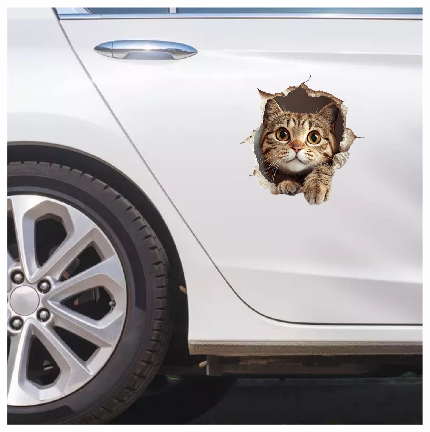 Brown Tabby Cat With Green Eyes Vinyl Sticker Decal
