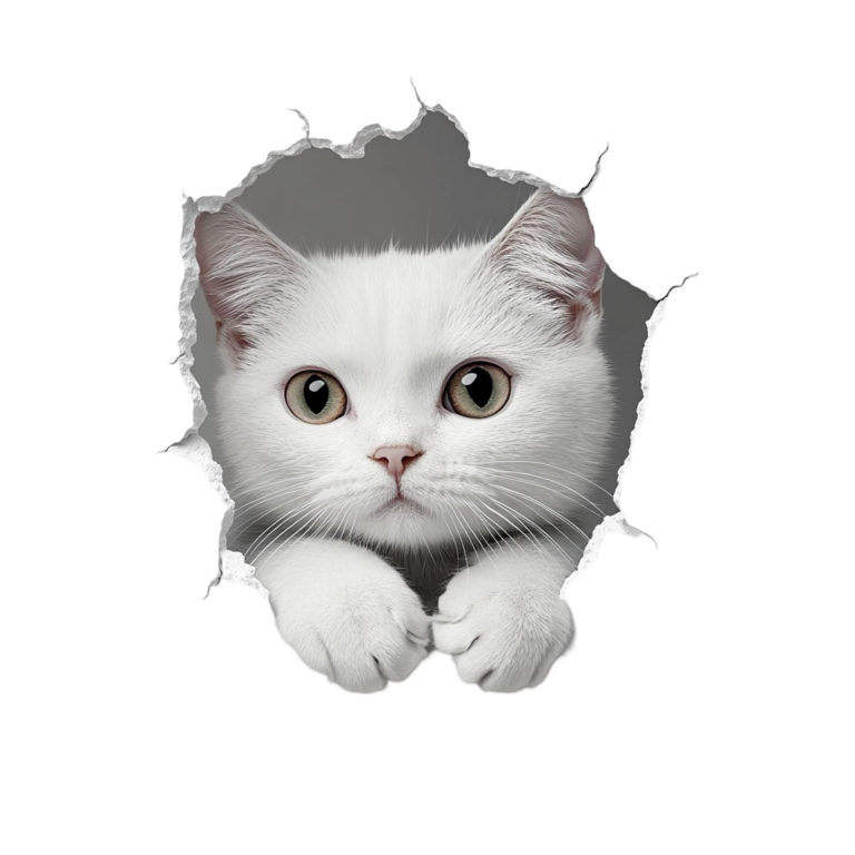 White Shorthaired Cat With Green Eyes Vinyl Sticker Decal