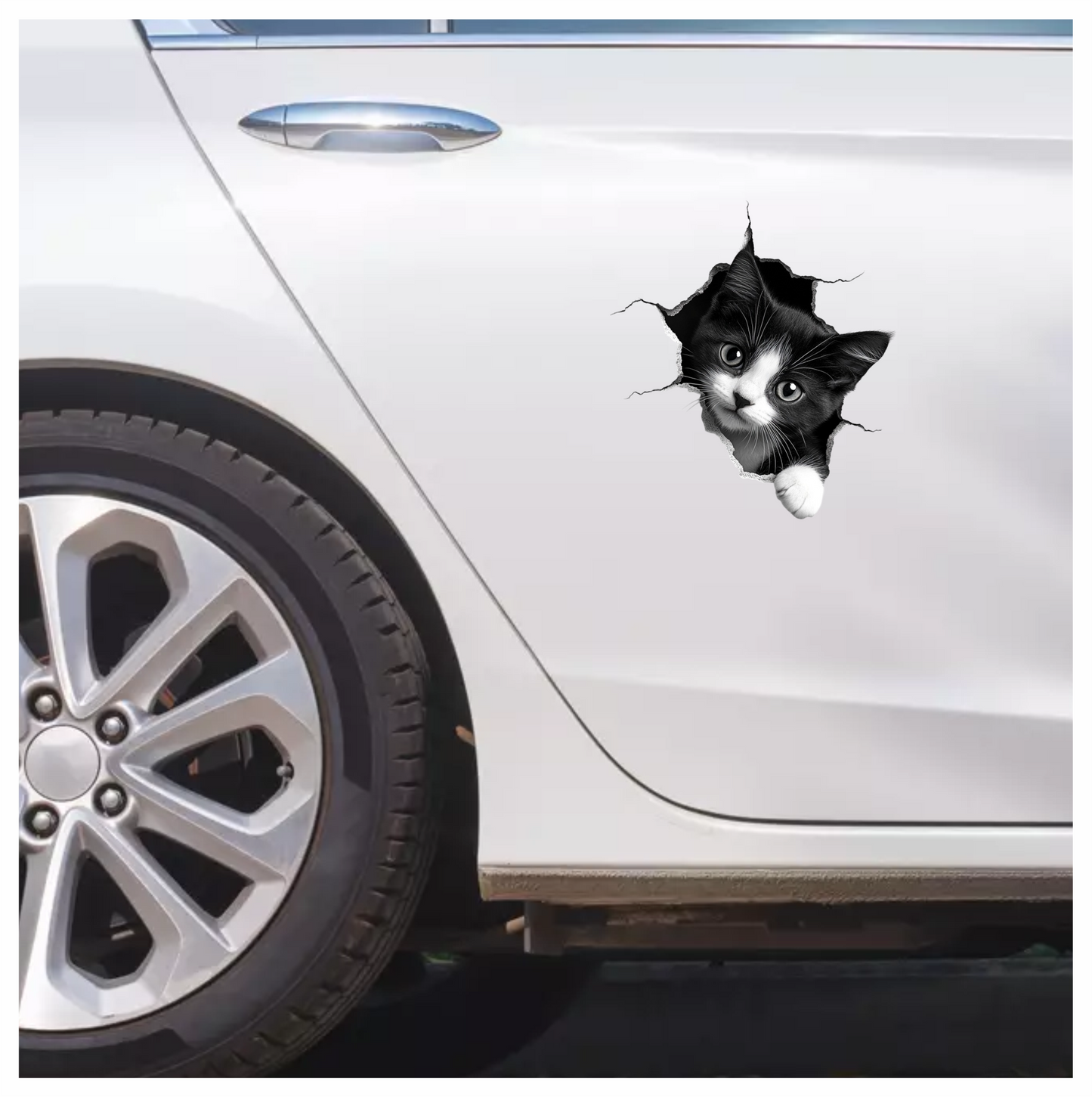 Black White Kitten With Round Eyes Vinyl Sticker Decal