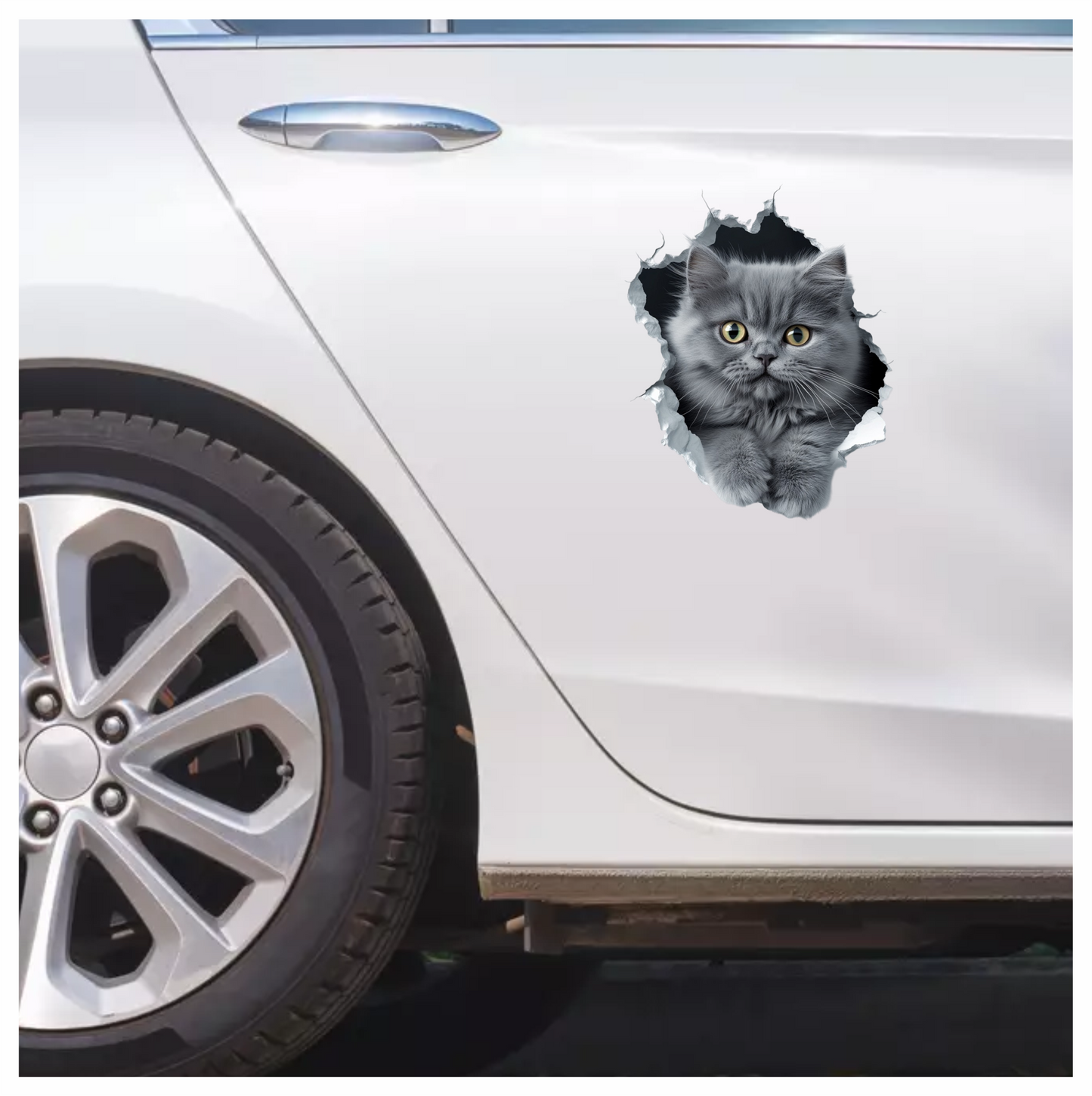 Grey Fluffy Kitten With Yellow Eyes Vinyl Sticker Decal