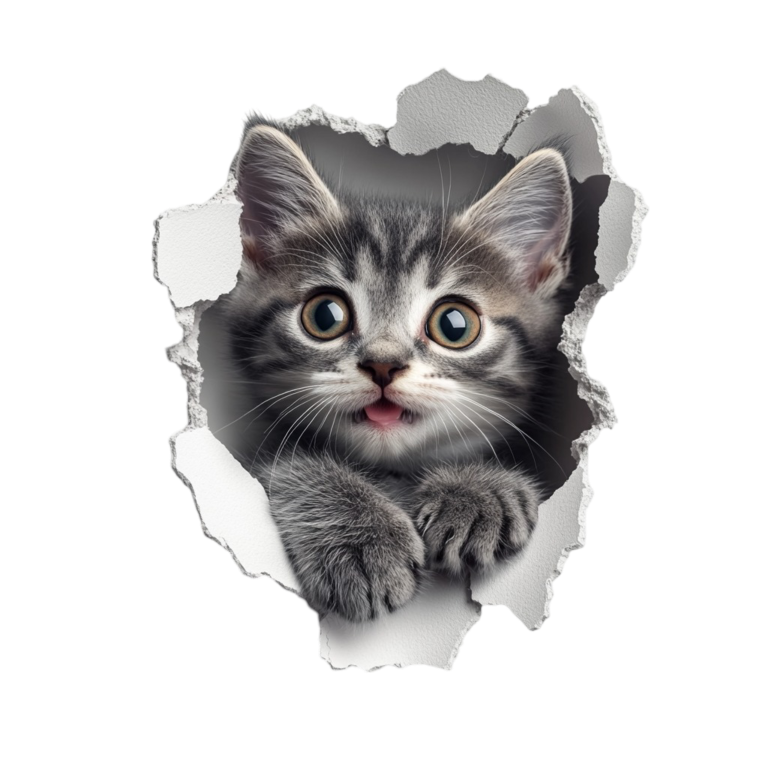 Grey Tabby Kitten With Green Eyes Vinyl Sticker Decal