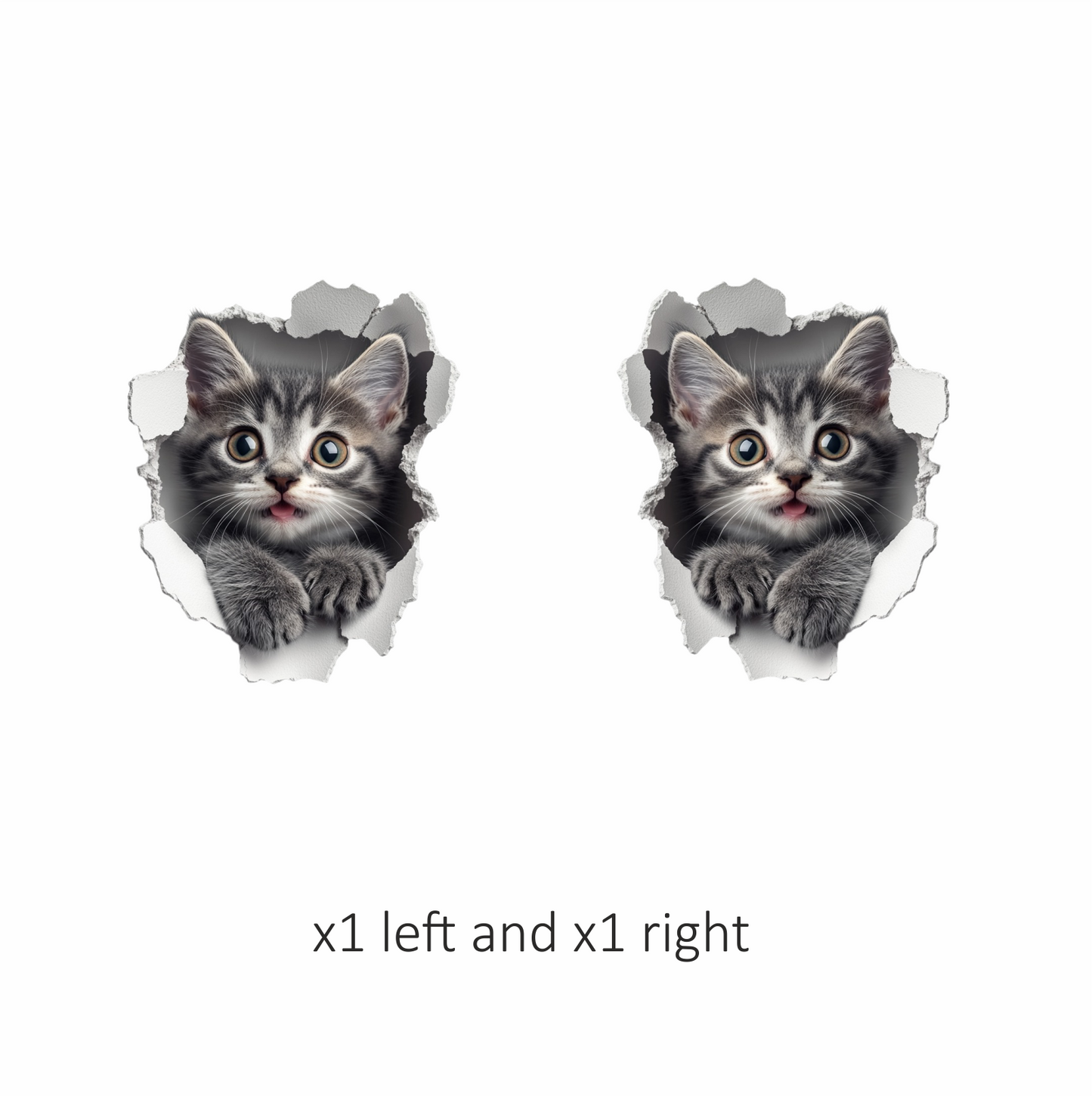 Grey Tabby Kitten With Green Eyes Vinyl Sticker Decal