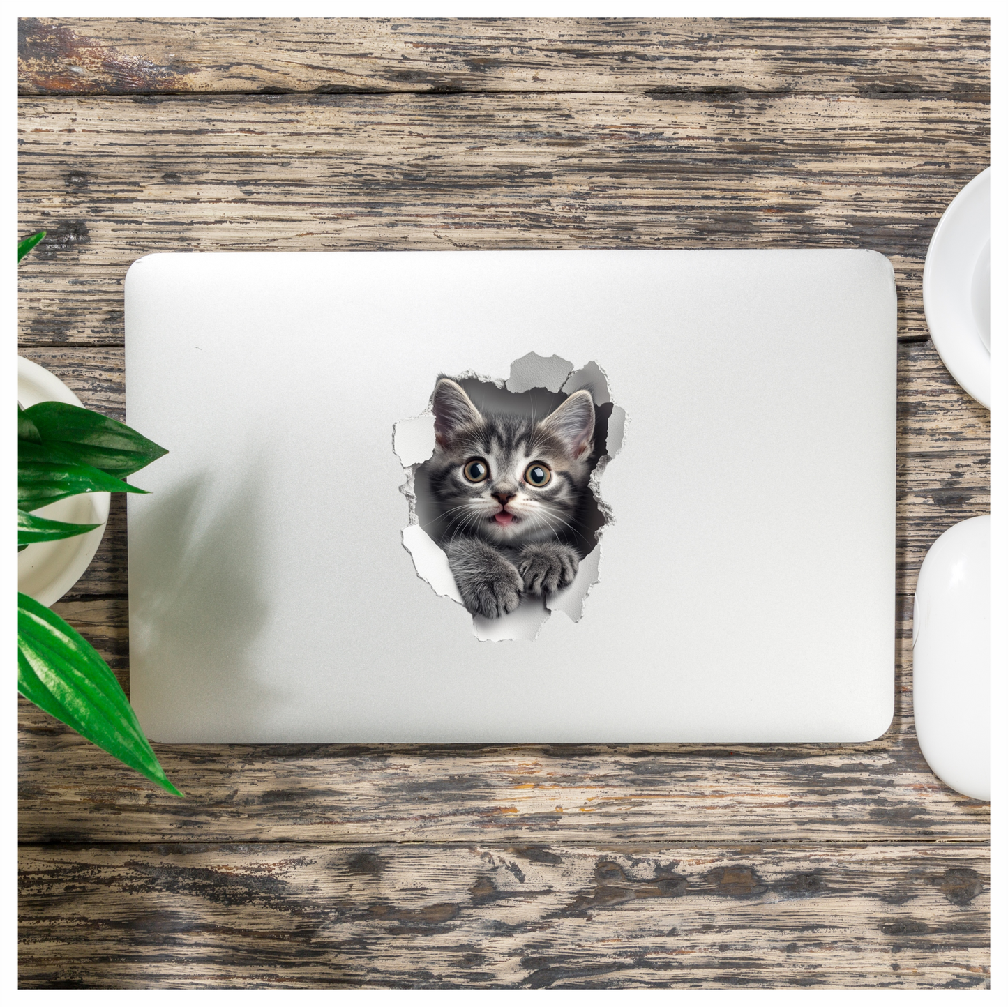 Grey Tabby Kitten With Green Eyes Vinyl Sticker Decal