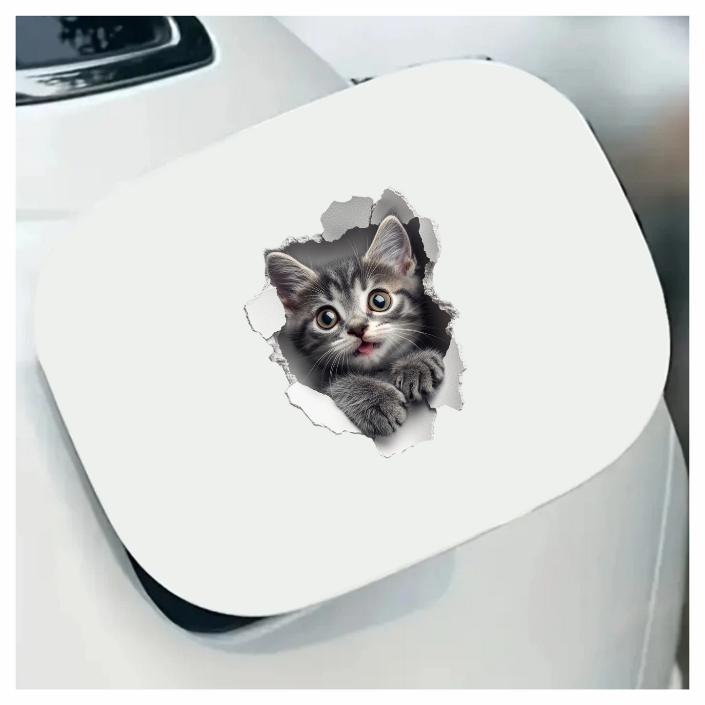 Grey Tabby Kitten With Green Eyes Vinyl Sticker Decal