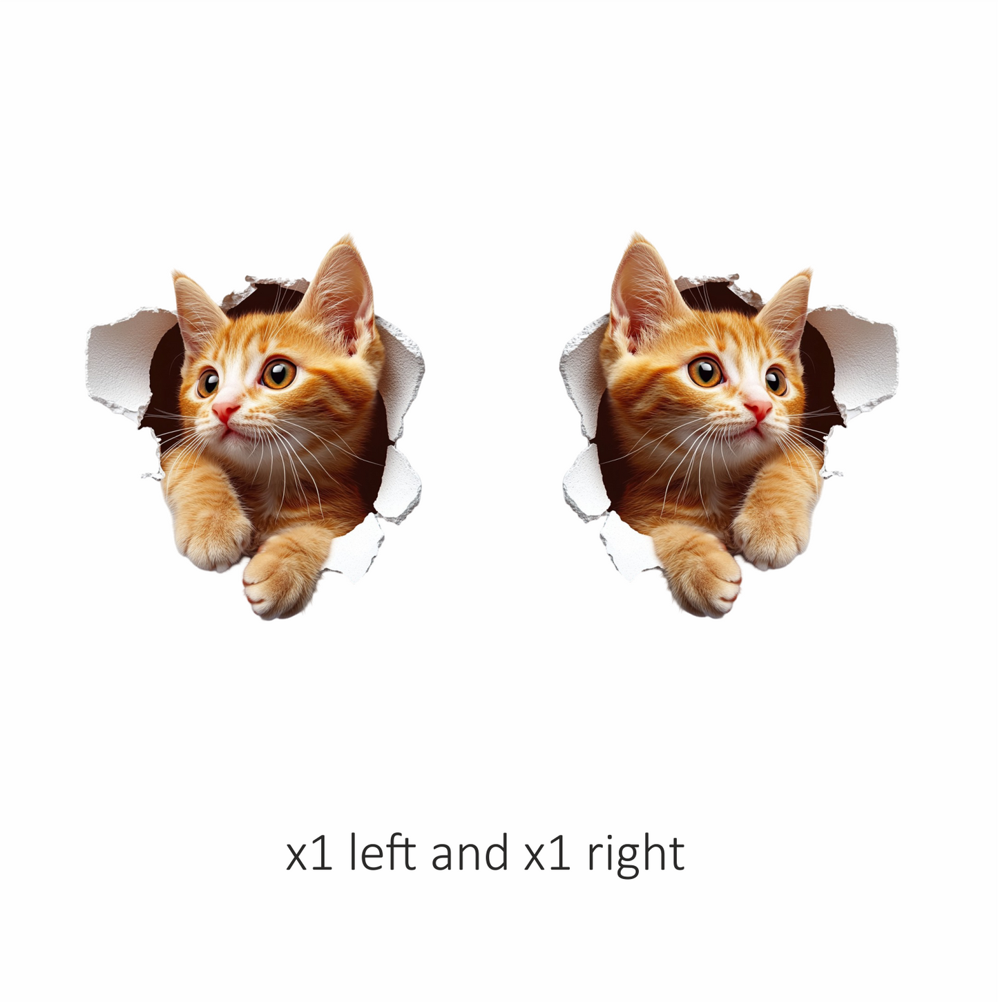 Orange Tabby Kitten With Amber Eyes Vinyl Sticker Decal