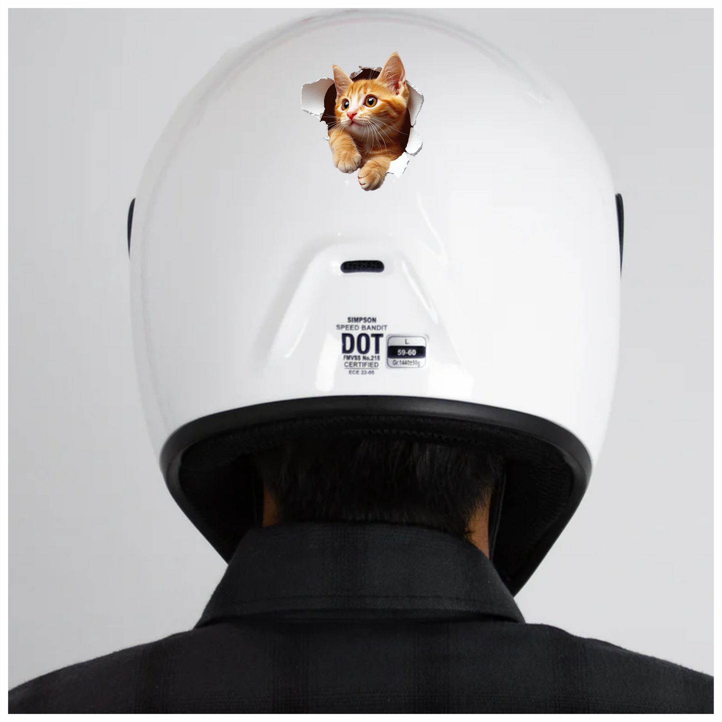 Orange Tabby Kitten With Amber Eyes Vinyl Sticker Decal