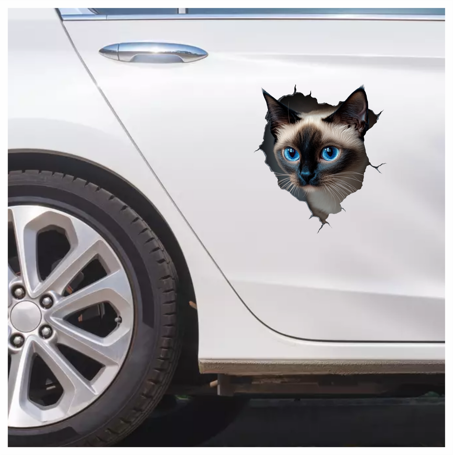 Brown Siamese Cat With Blue Eyes Vinyl Sticker Decal