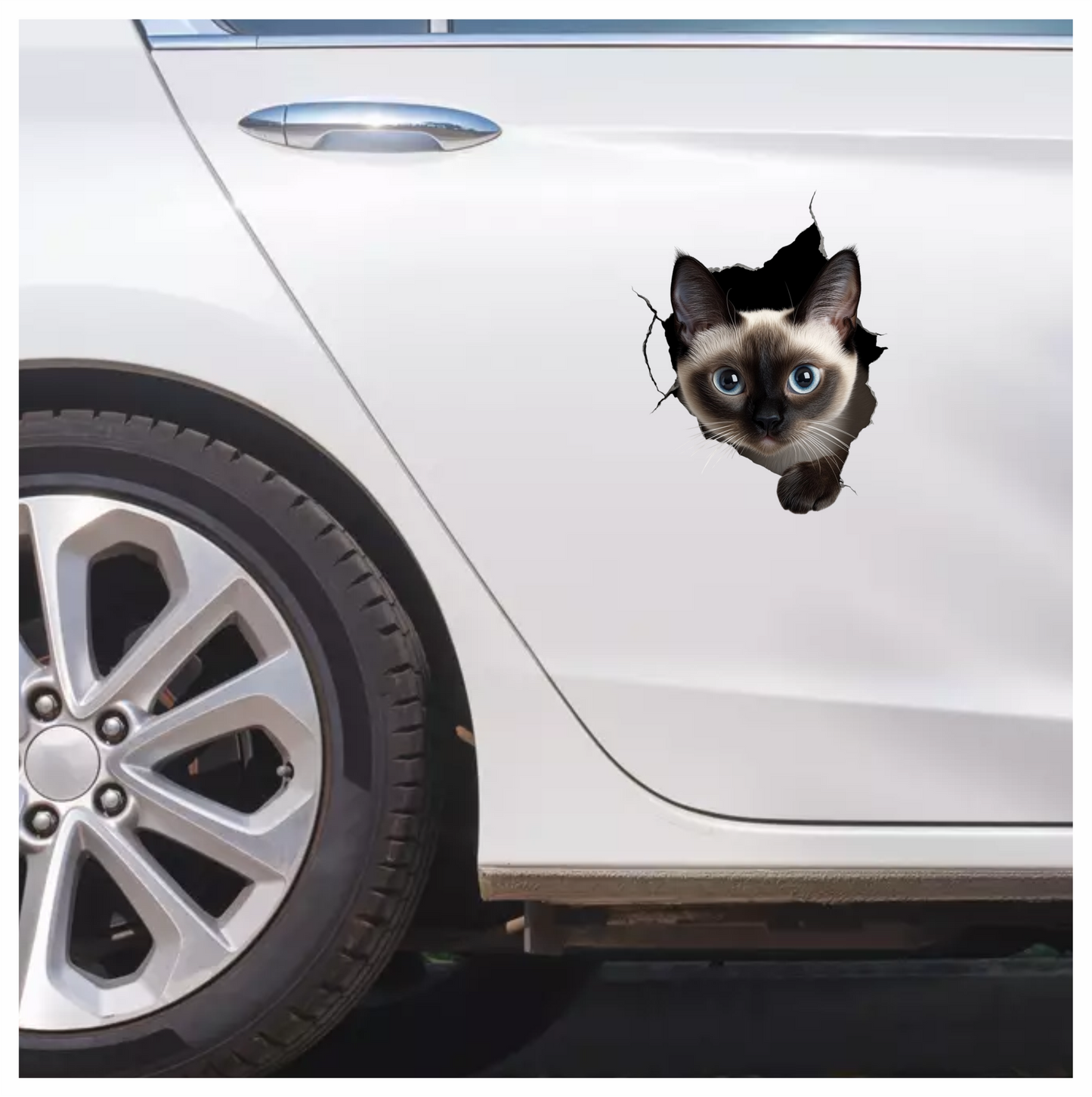Brown Siamese Cat With Blue Eyes Vinyl Sticker Decal