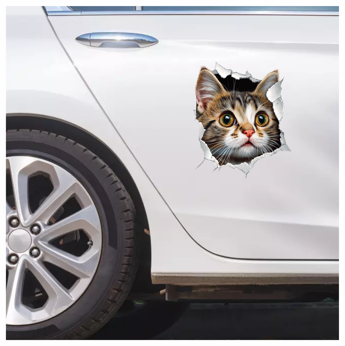 Brown Tabby Kitten With Green Eyes Vinyl Sticker Decal
