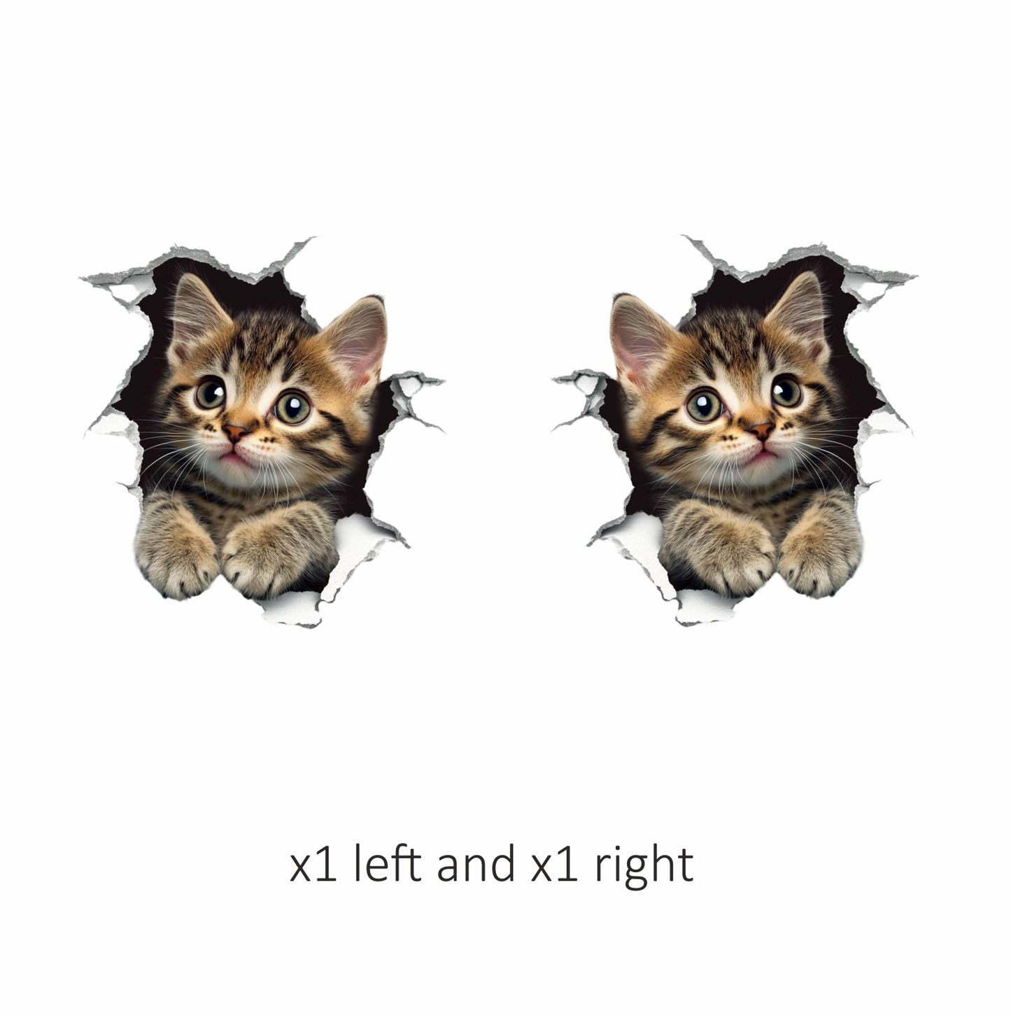 Brown Tabby Kitten With Green Eyes Vinyl Sticker Decal