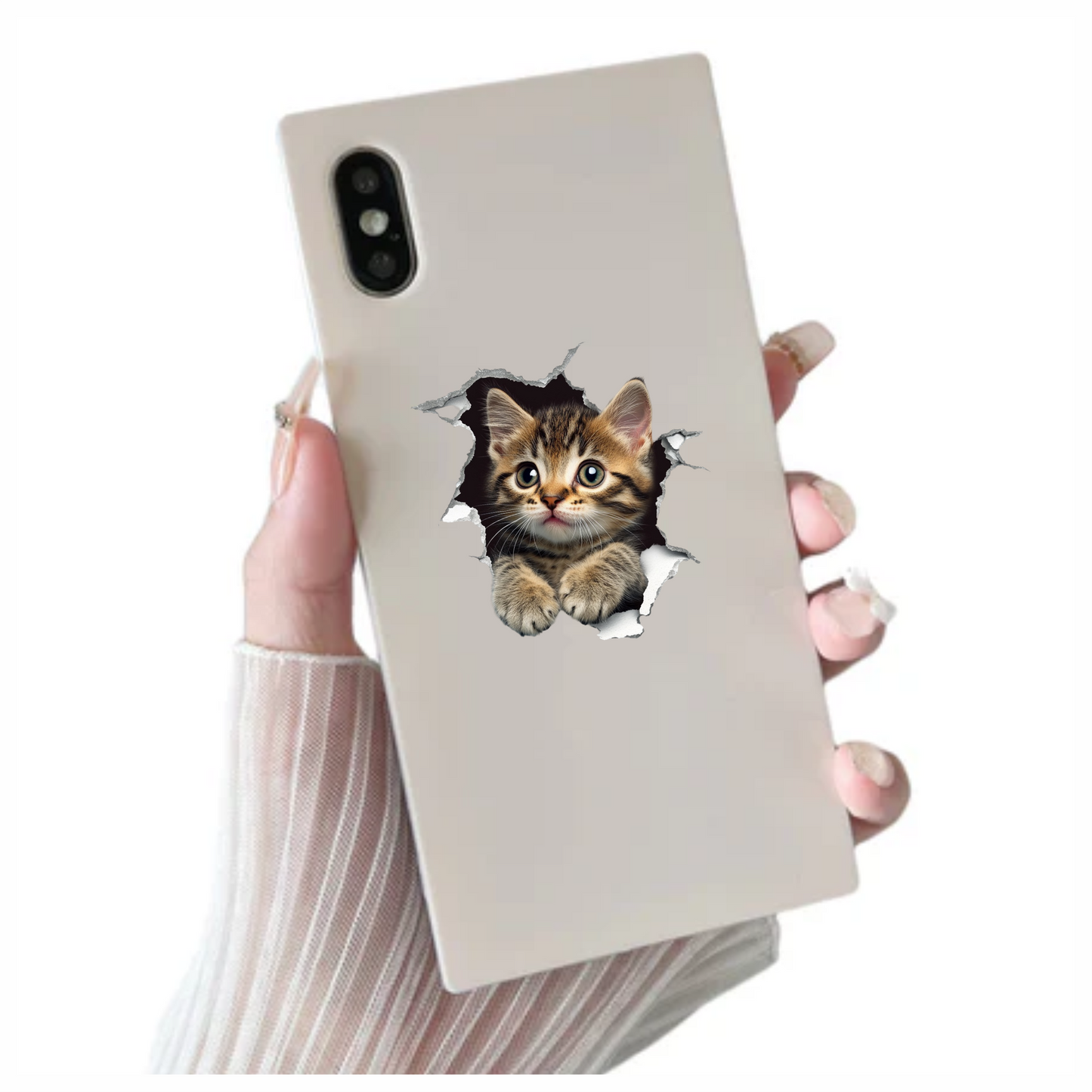 Brown Tabby Kitten With Green Eyes Vinyl Sticker Decal