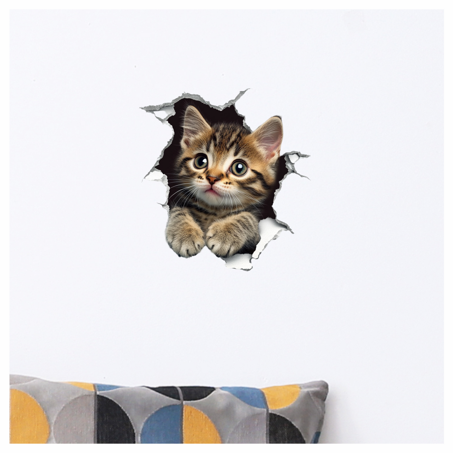 Brown Tabby Kitten With Green Eyes Vinyl Sticker Decal