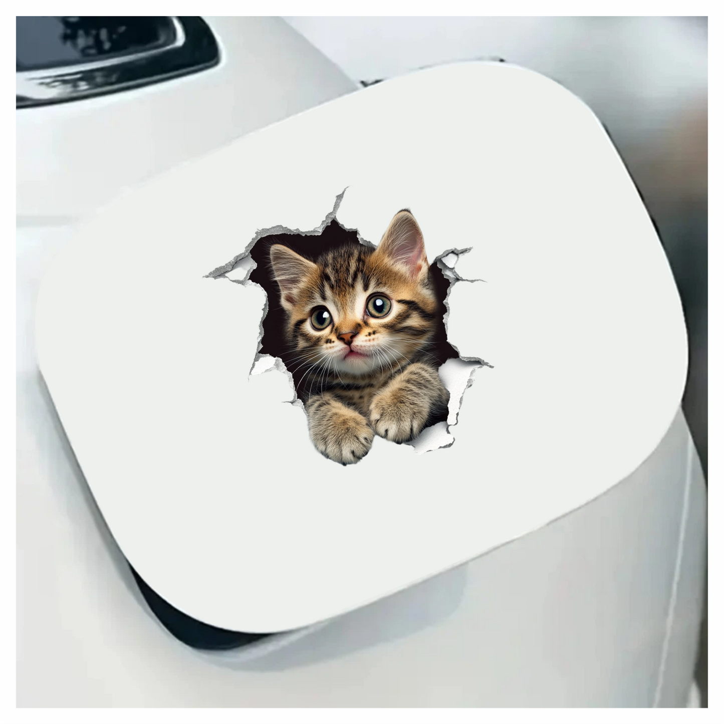 Brown Tabby Kitten With Green Eyes Vinyl Sticker Decal