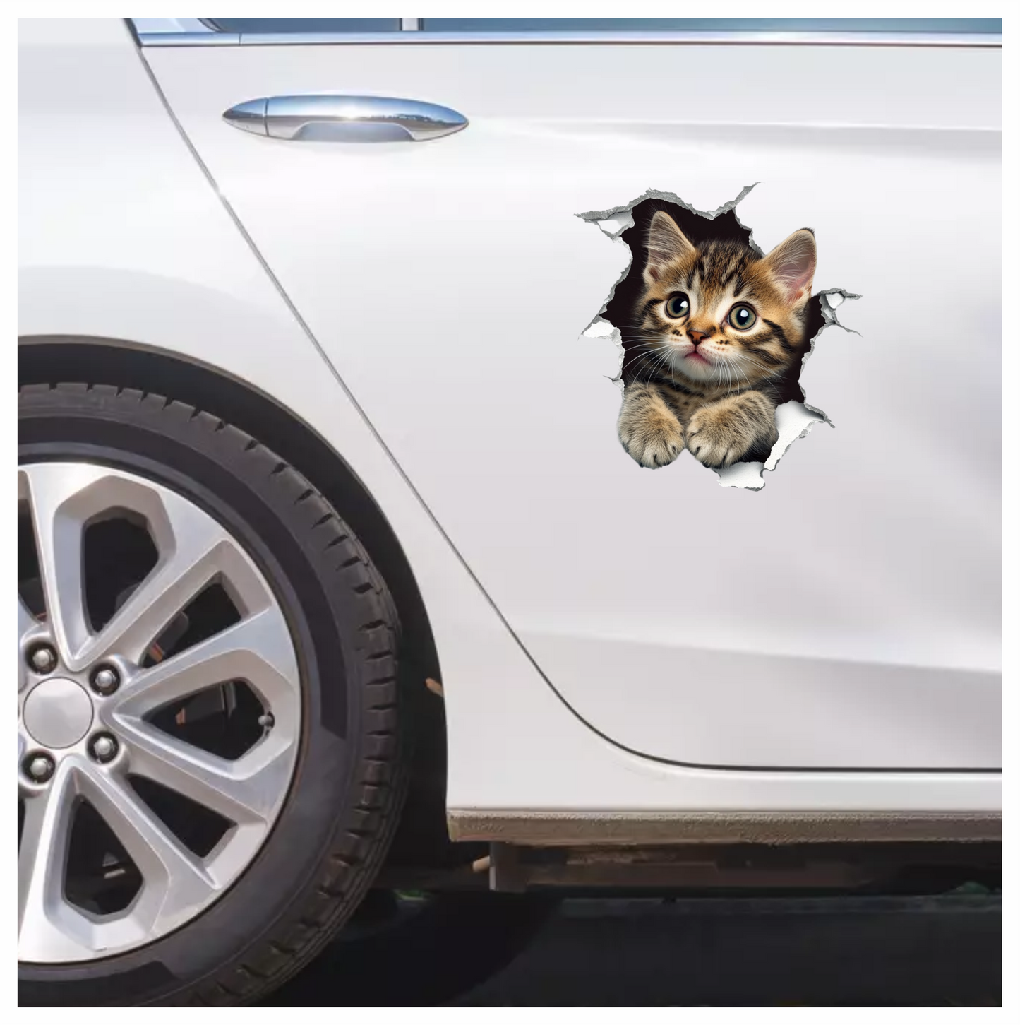 Brown Tabby Kitten With Green Eyes Vinyl Sticker Decal