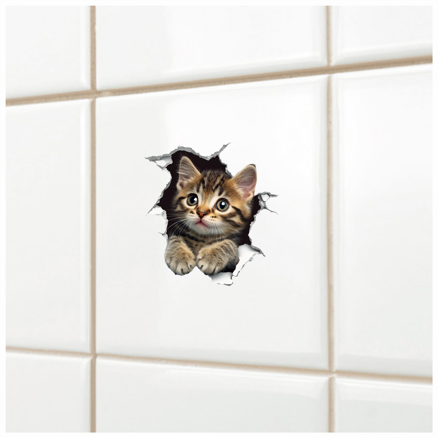 Brown Tabby Kitten With Green Eyes Vinyl Sticker Decal