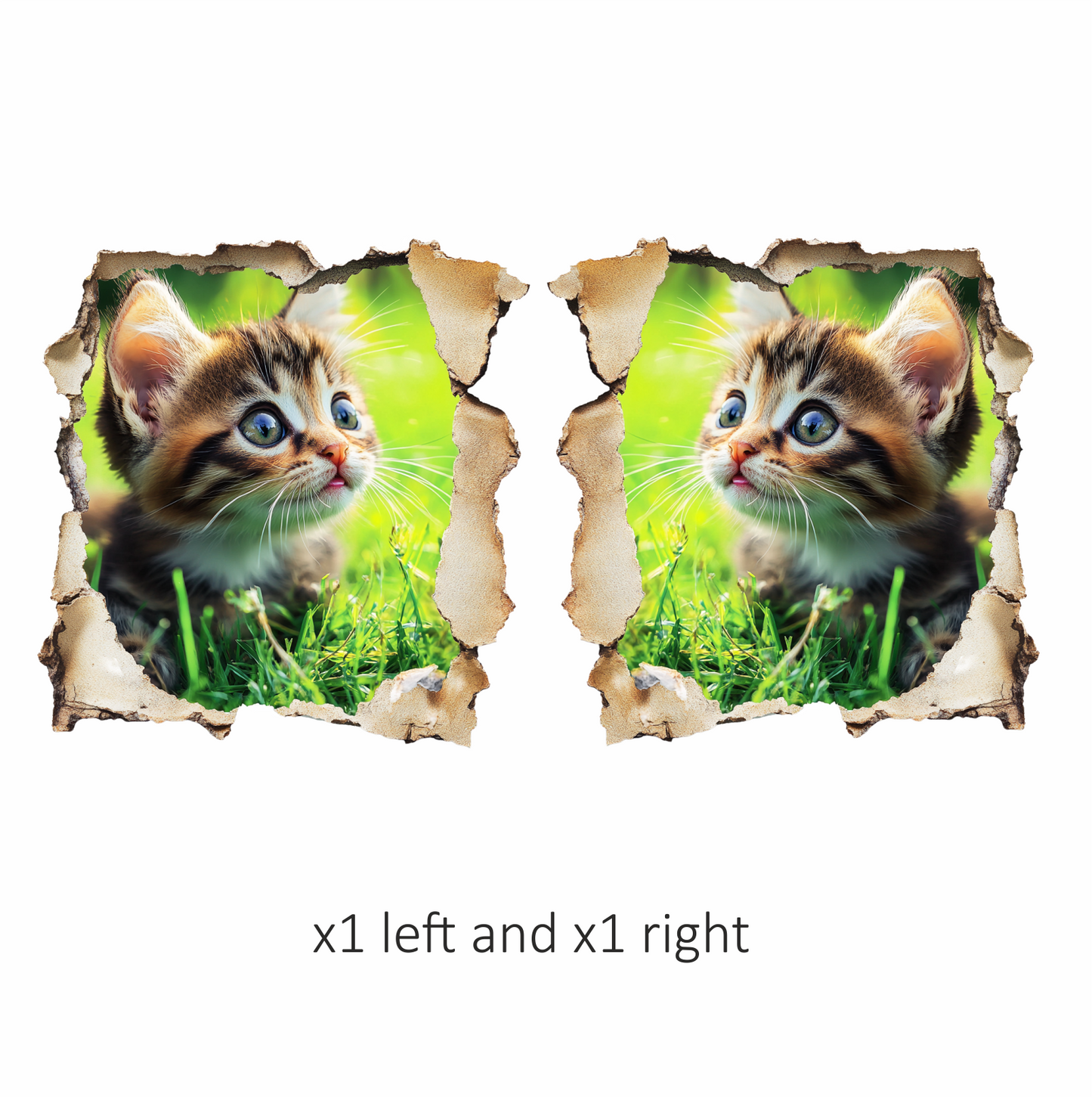 Brown Kitten Sitting On Green Grass Vinyl Sticker Decal