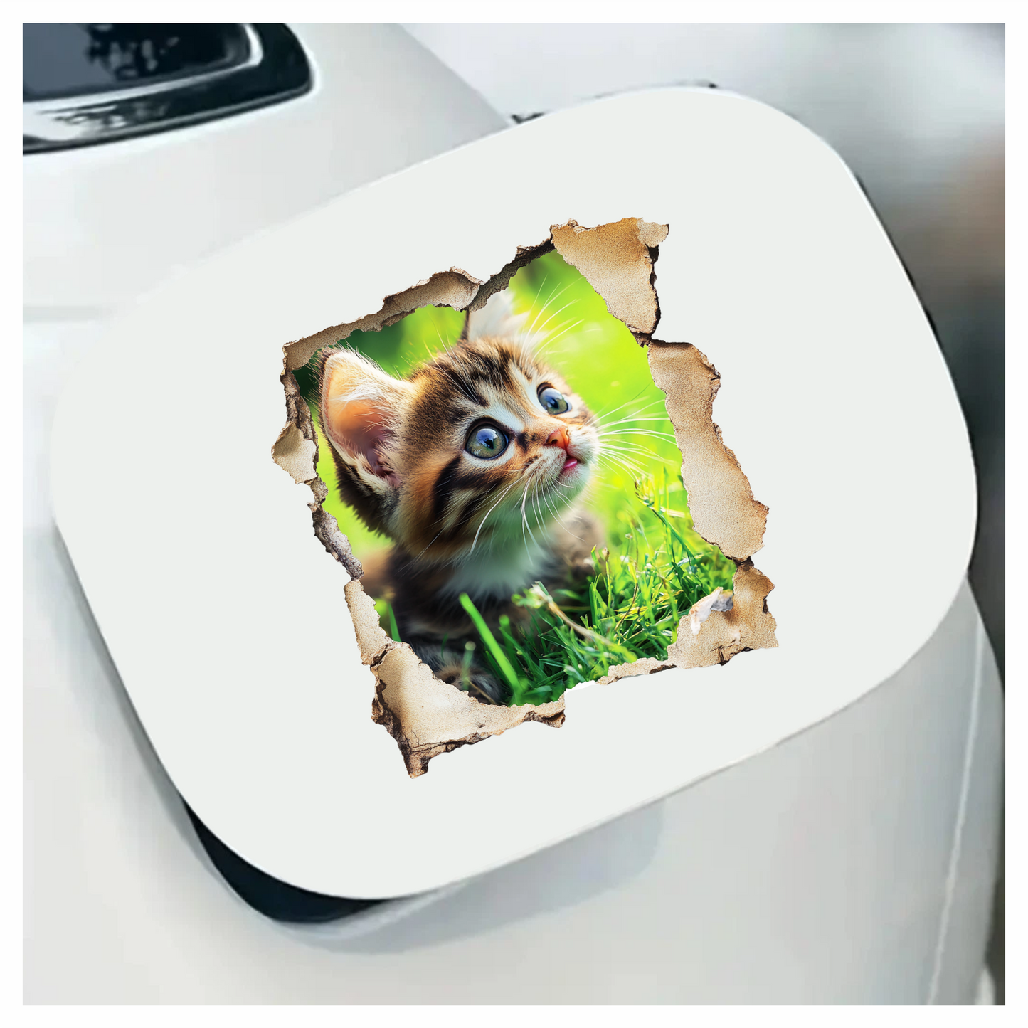 Brown Kitten Sitting On Green Grass Vinyl Sticker Decal