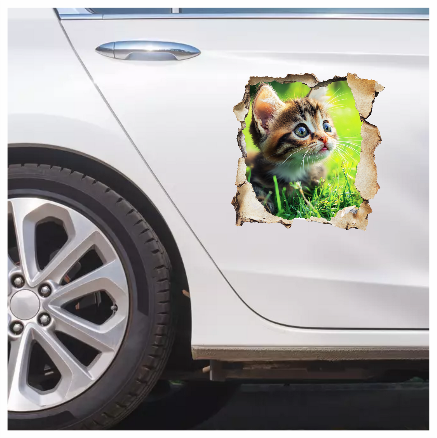 Brown Kitten Sitting On Green Grass Vinyl Sticker Decal