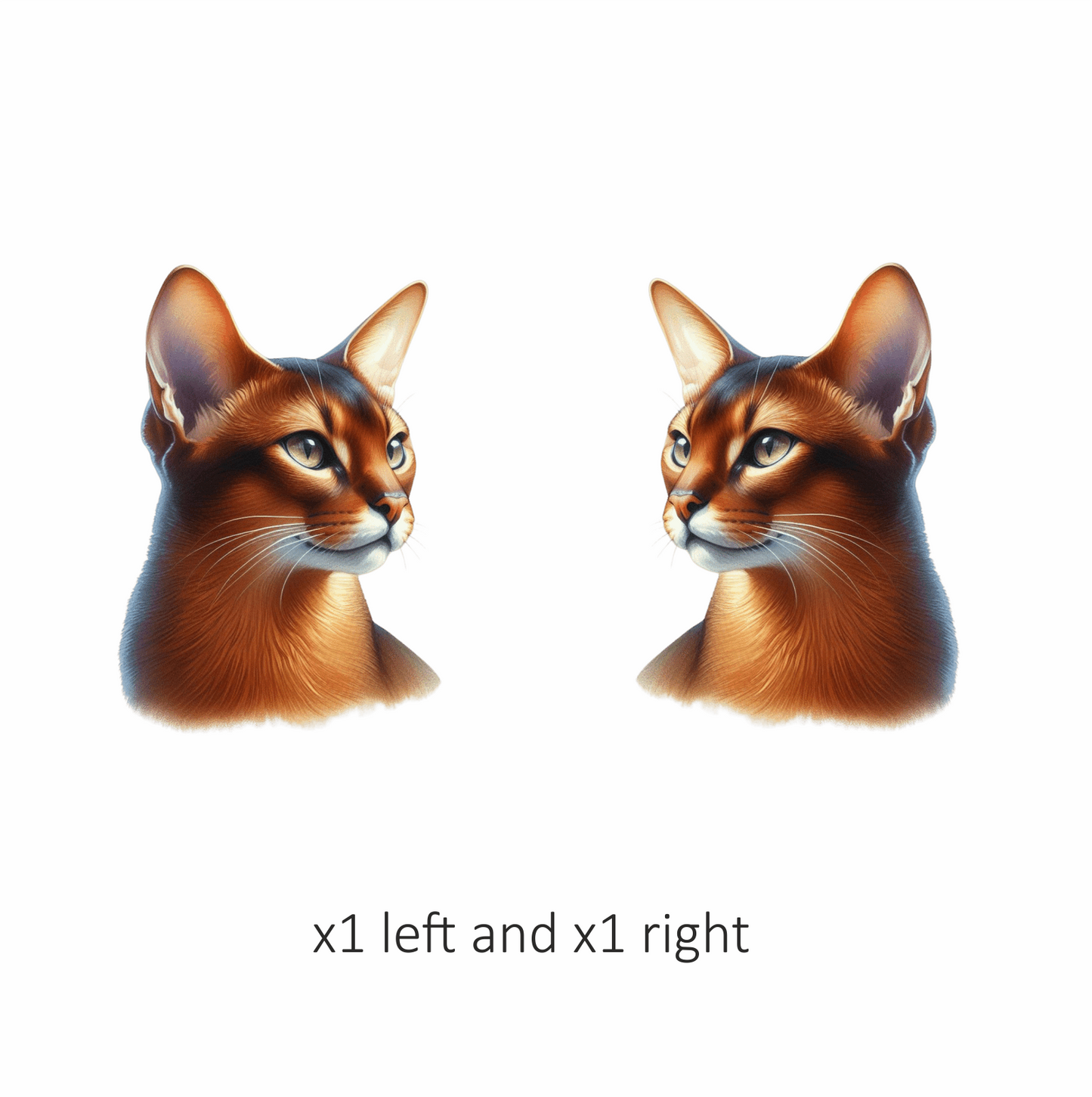 Brown Abyssinian Cat With Yellow Eyes Vinyl Sticker Decal