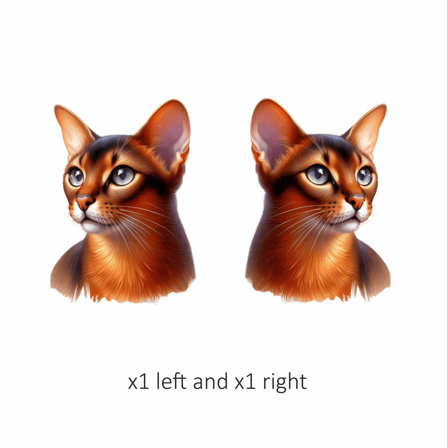 Brown Abyssinian Cat With Blue Eyes Vinyl Sticker Decal