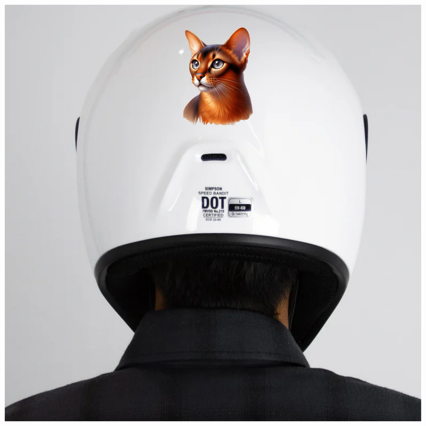 Brown Abyssinian Cat With Blue Eyes Vinyl Sticker Decal