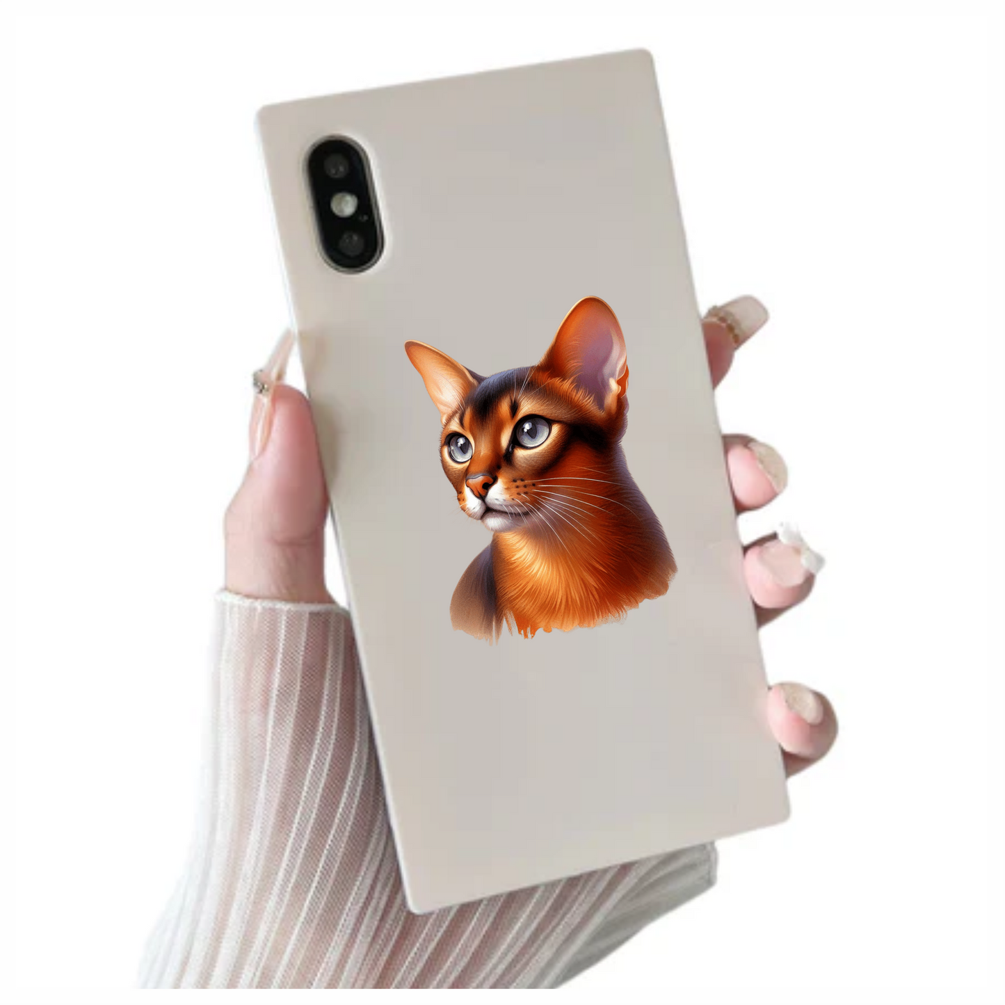 Brown Abyssinian Cat With Blue Eyes Vinyl Sticker Decal