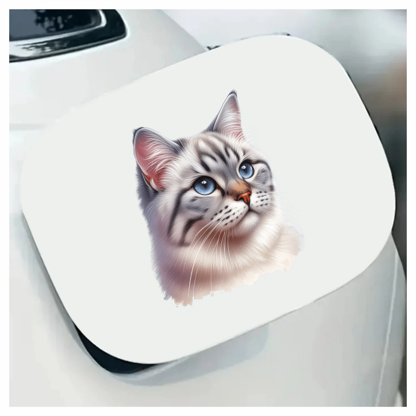 White Tabby Cat With Blue Eyes Vinyl Sticker Decal
