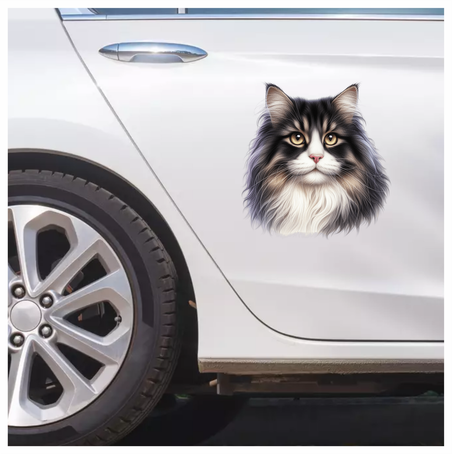 Black White Cat With Golden Eyes Vinyl Sticker Decal