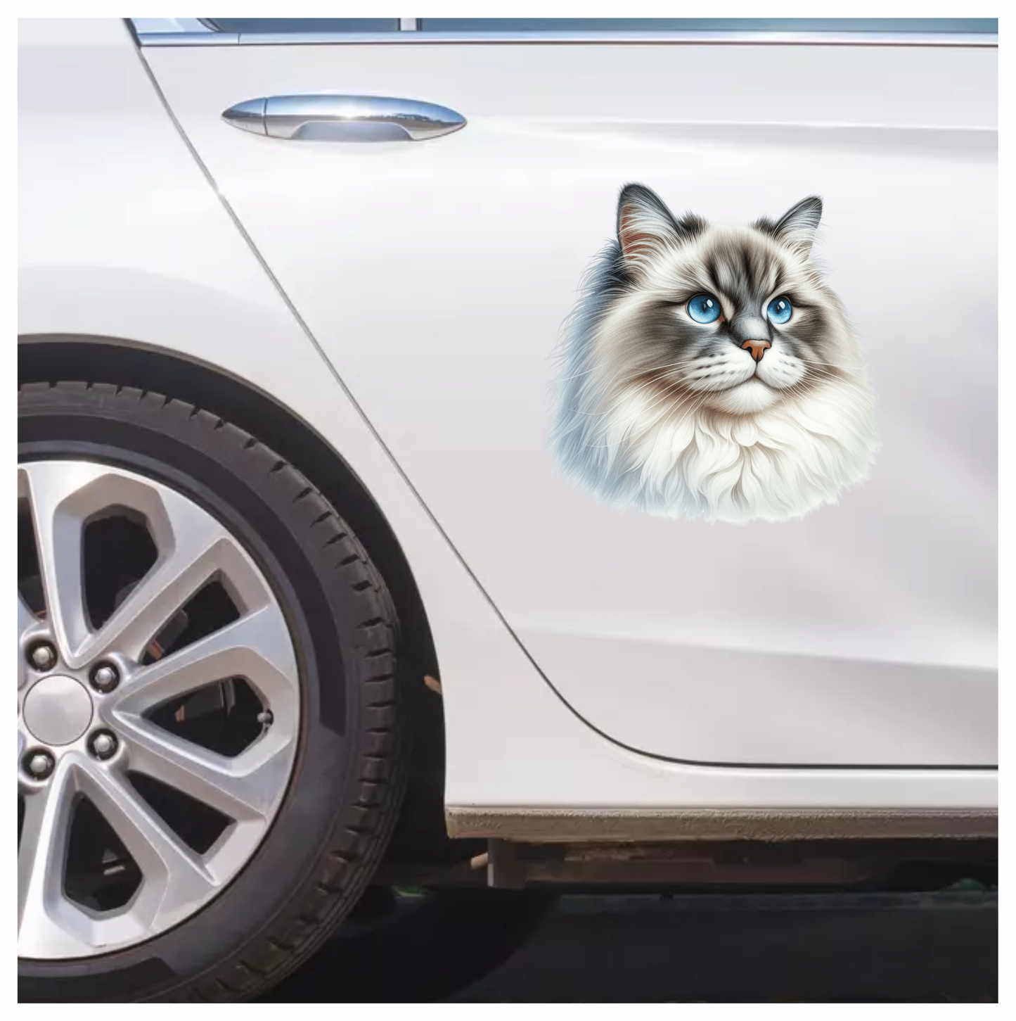 Blue Cat Ragdoll Fluffy Face Vinyl Sticker Decal