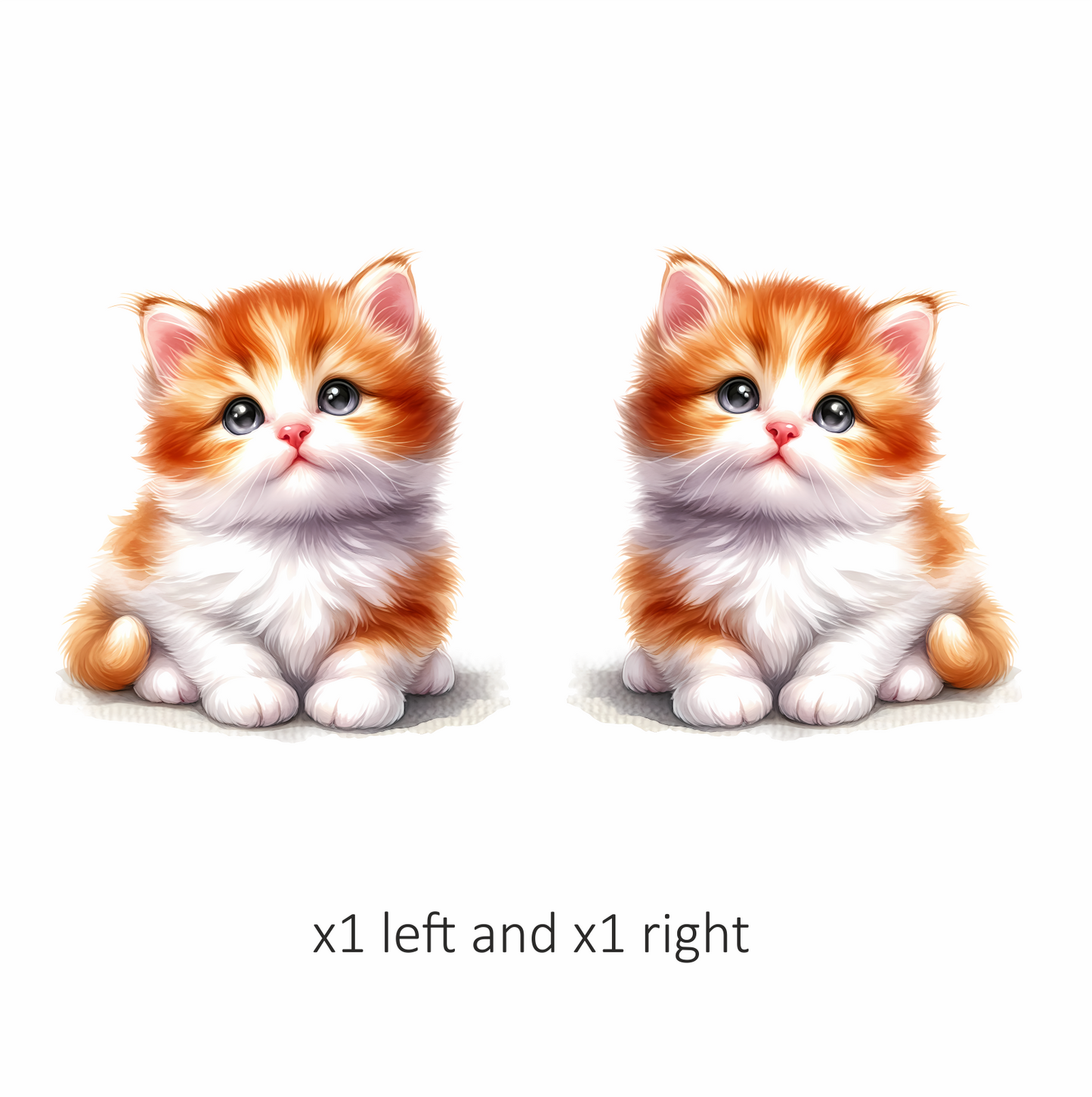 Orange White Kitten Fluffy Cute Vinyl Sticker Decal