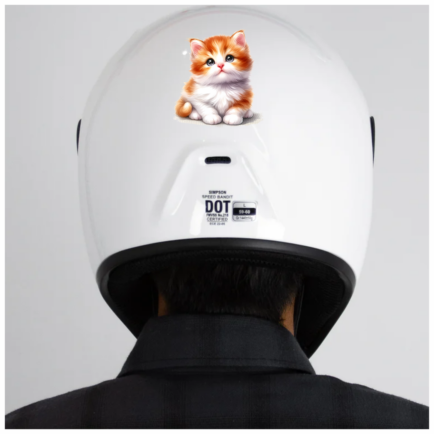 Orange White Kitten Fluffy Cute Vinyl Sticker Decal