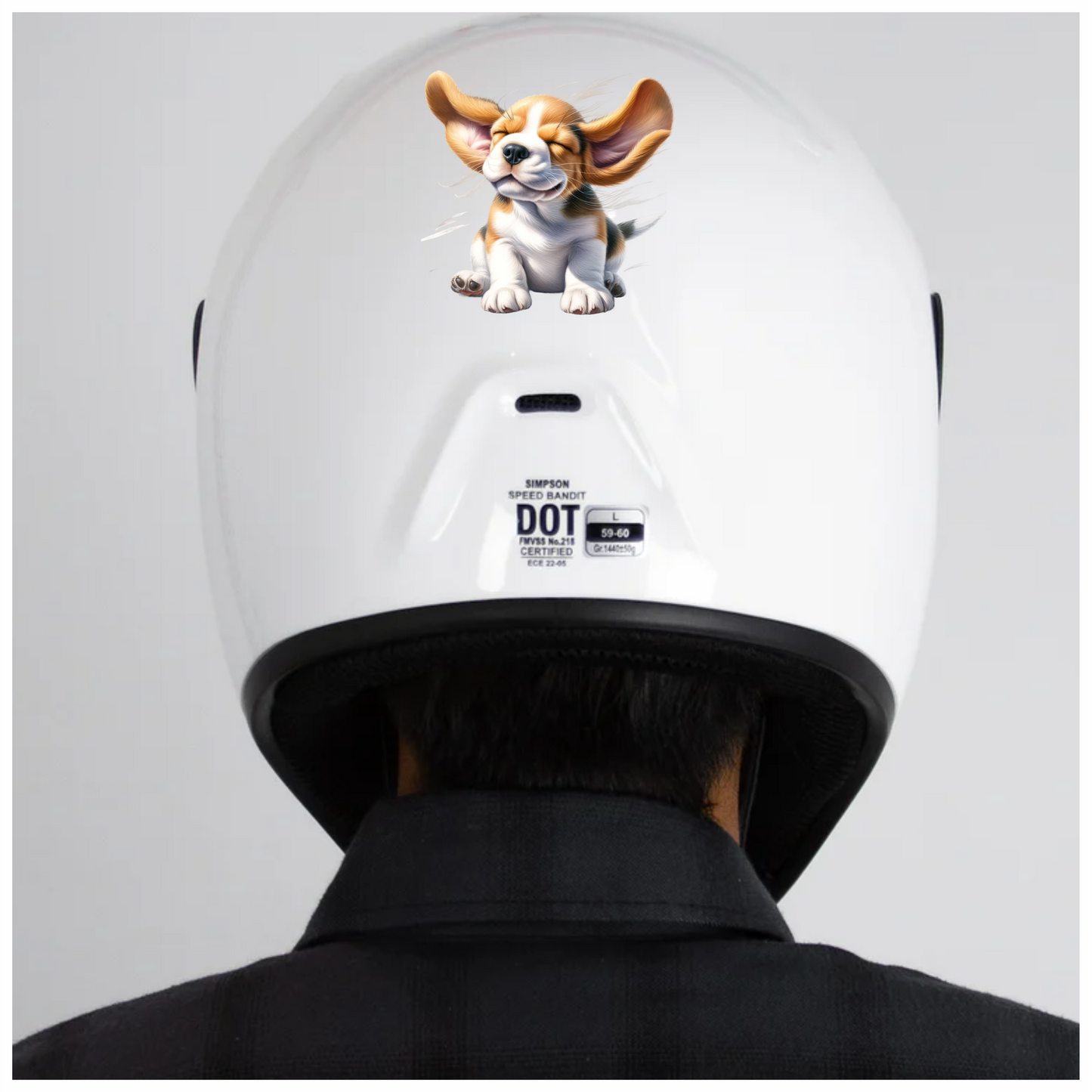 Brown White Puppy Beagle Sitting Happy Vinyl Sticker Decal