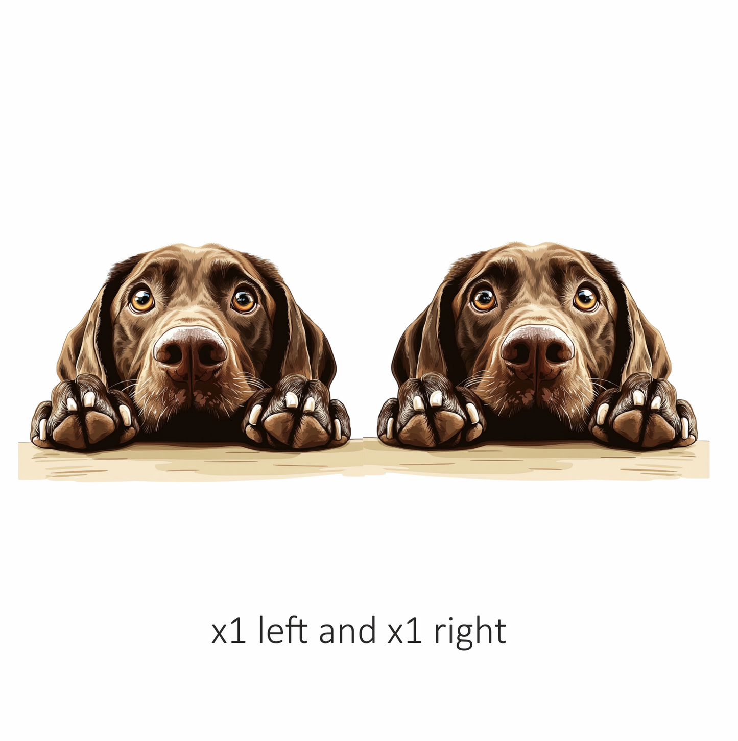 Brown Dog Labrador Close Up Vinyl Sticker Decal