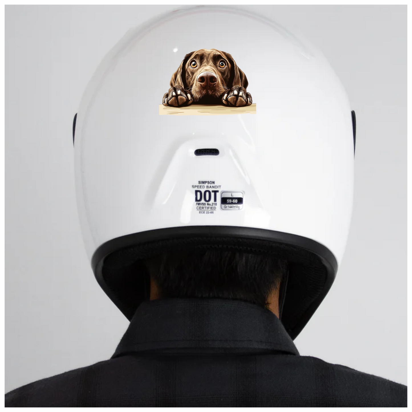 Brown Dog Labrador Close Up Vinyl Sticker Decal