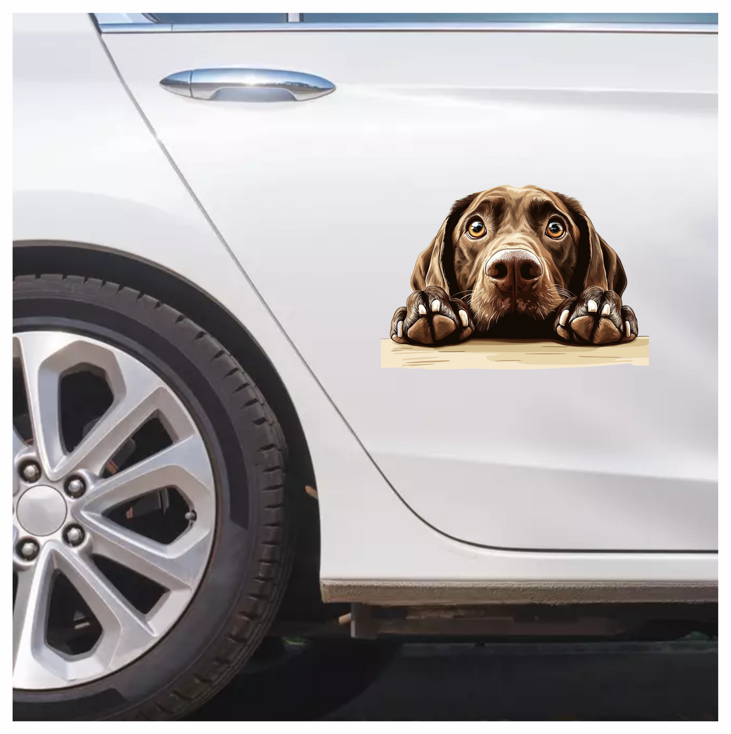 Brown Dog Labrador Close Up Vinyl Sticker Decal