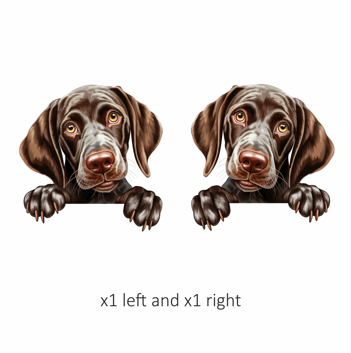 Brown Dog Puppy Cute Pointer Vinyl Sticker Decal